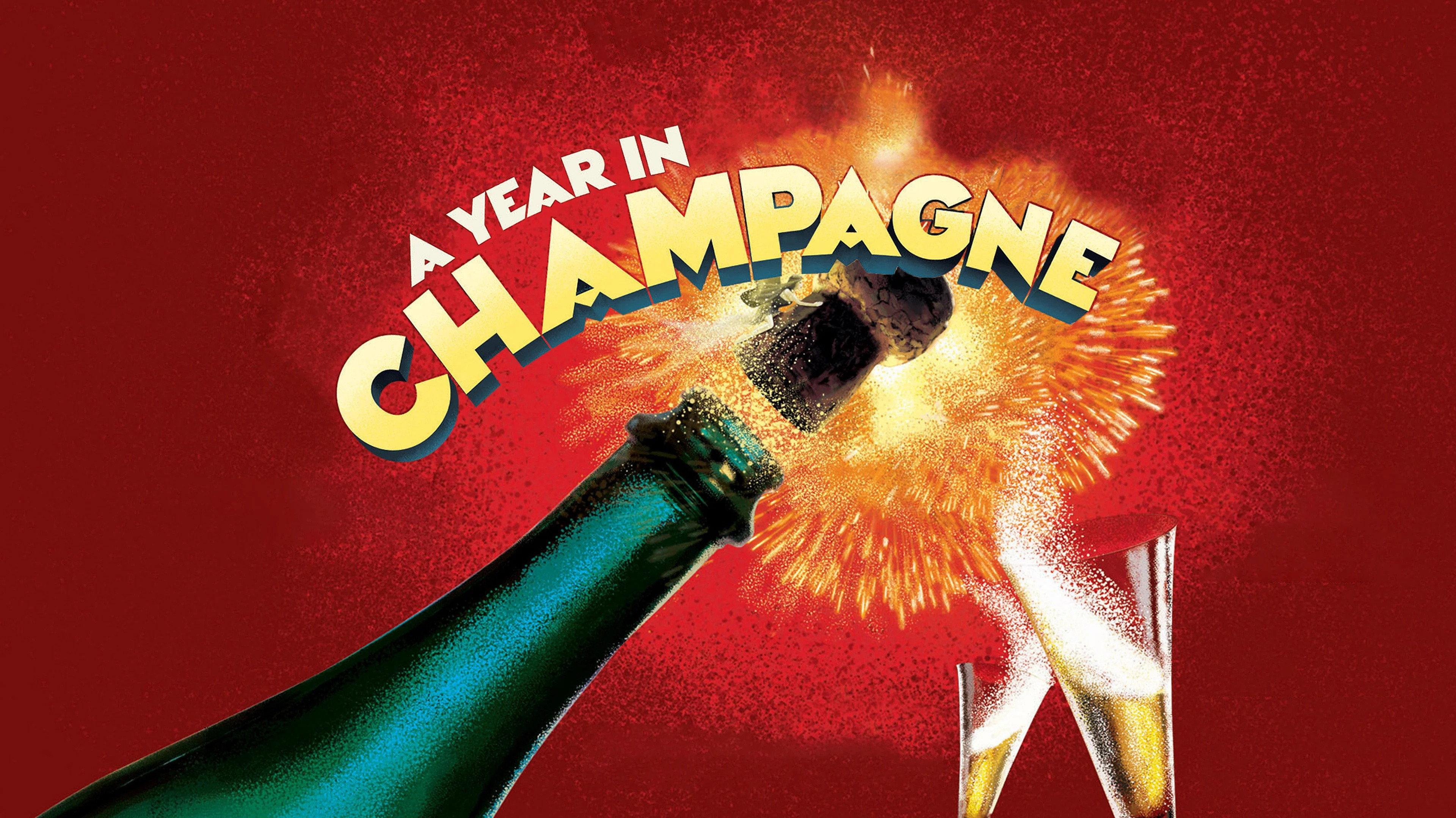 A Year in Champagne 2014 movie scene