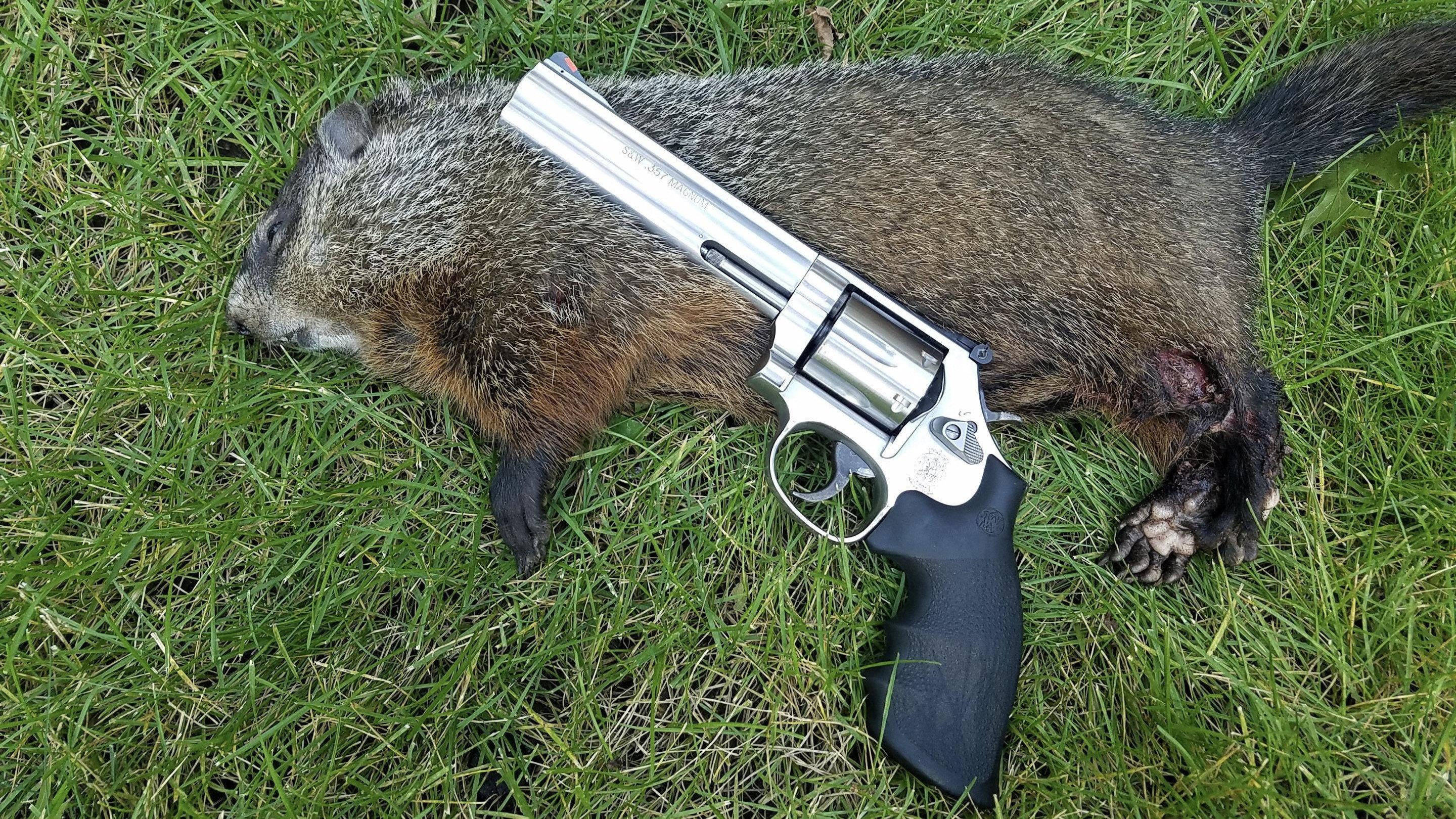 Mr. Groundhog meets Santa Claus 2012 movie scene