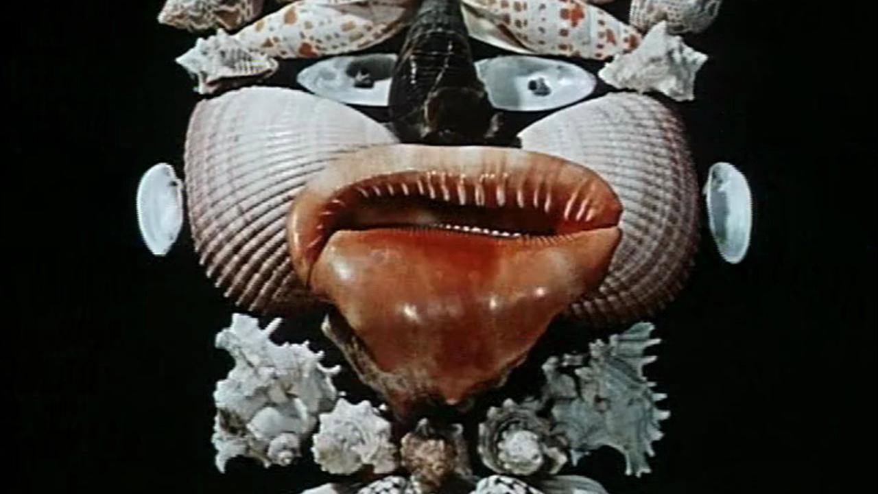 Natural History Suite 1967 movie scene