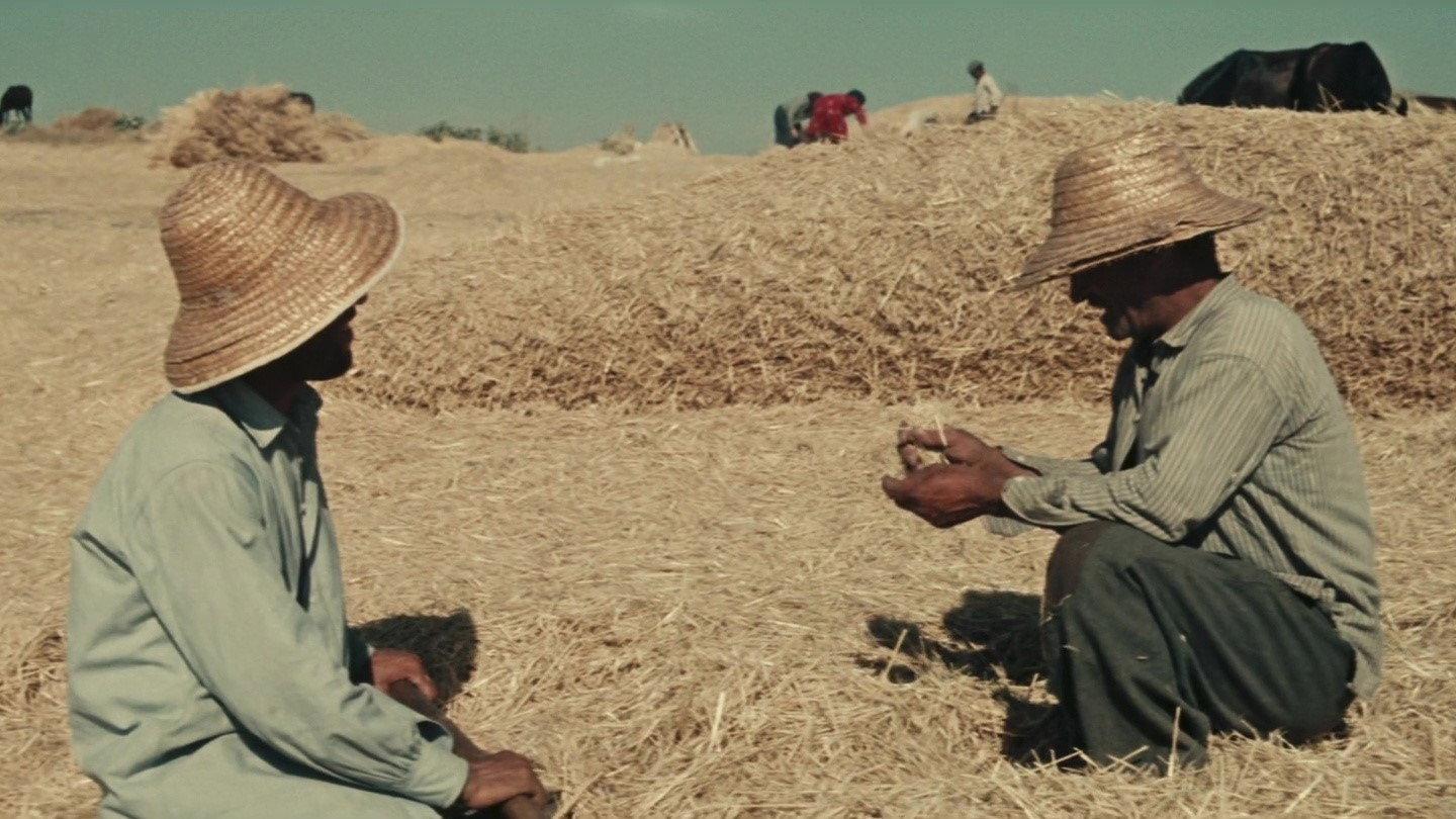 Golden Parable 1955 movie scene