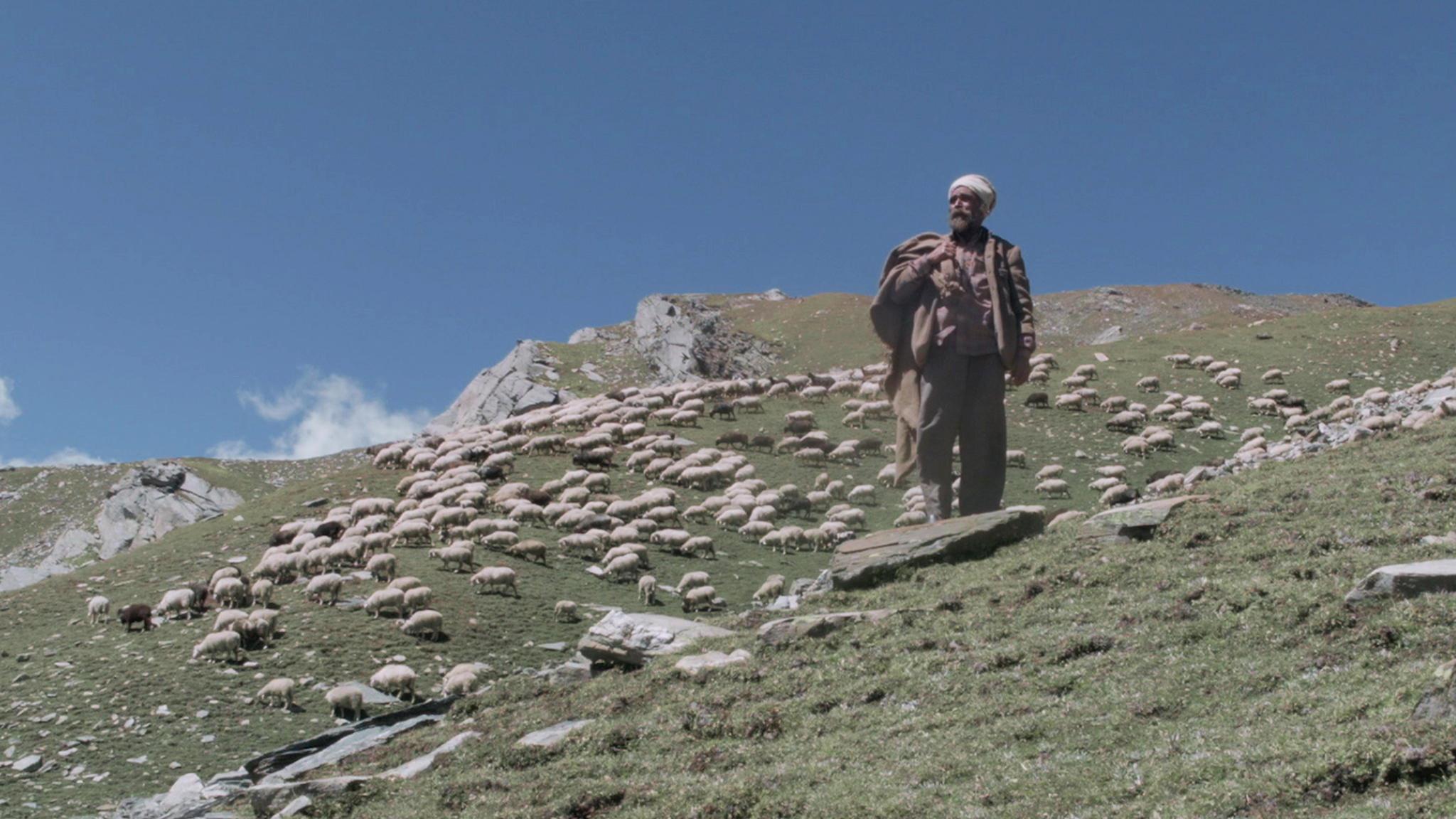 The Gold-Laden Sheep and The Sacred Mountain 2018 movie scene