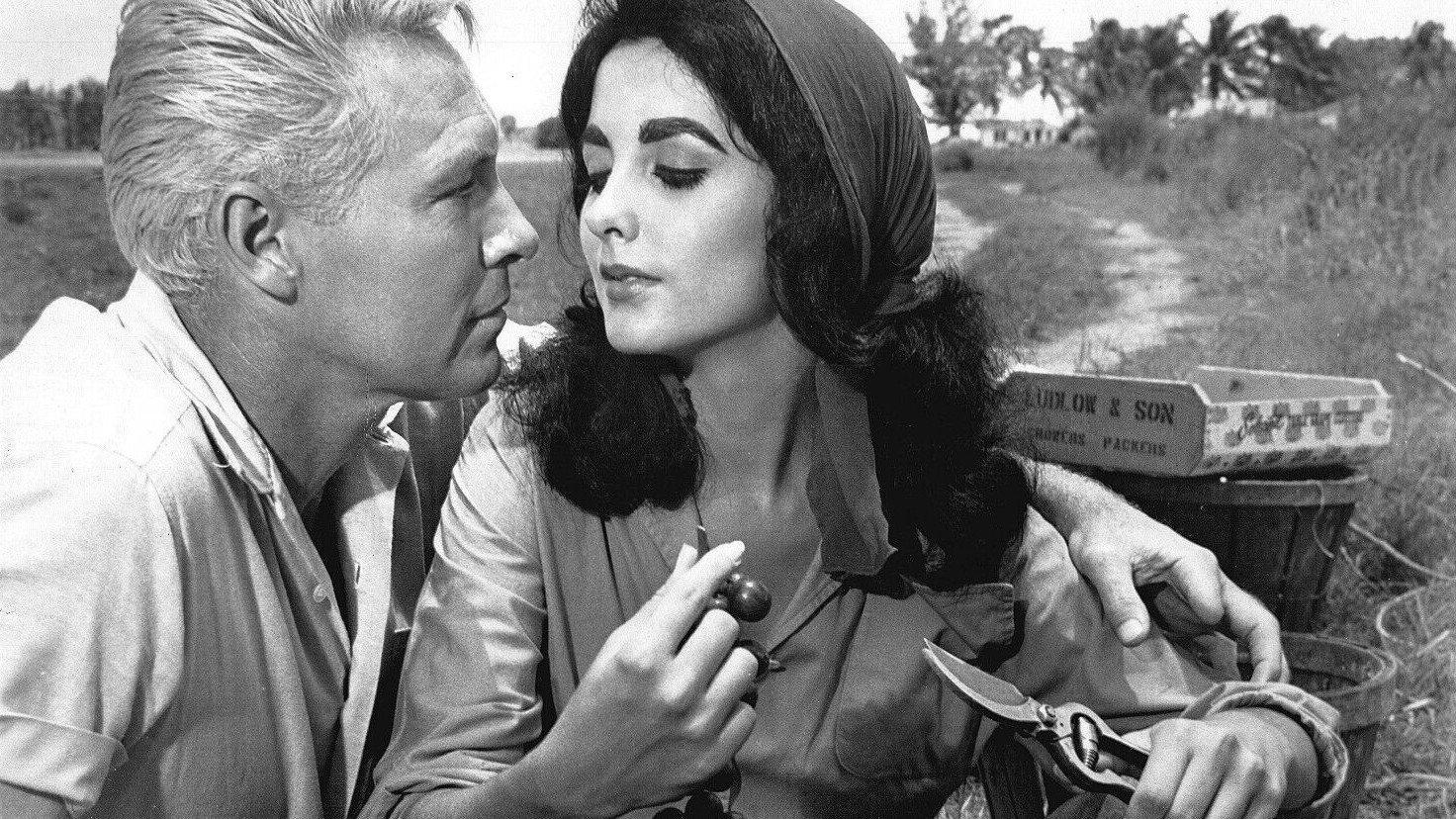 Wild Harvest 1962 movie scene