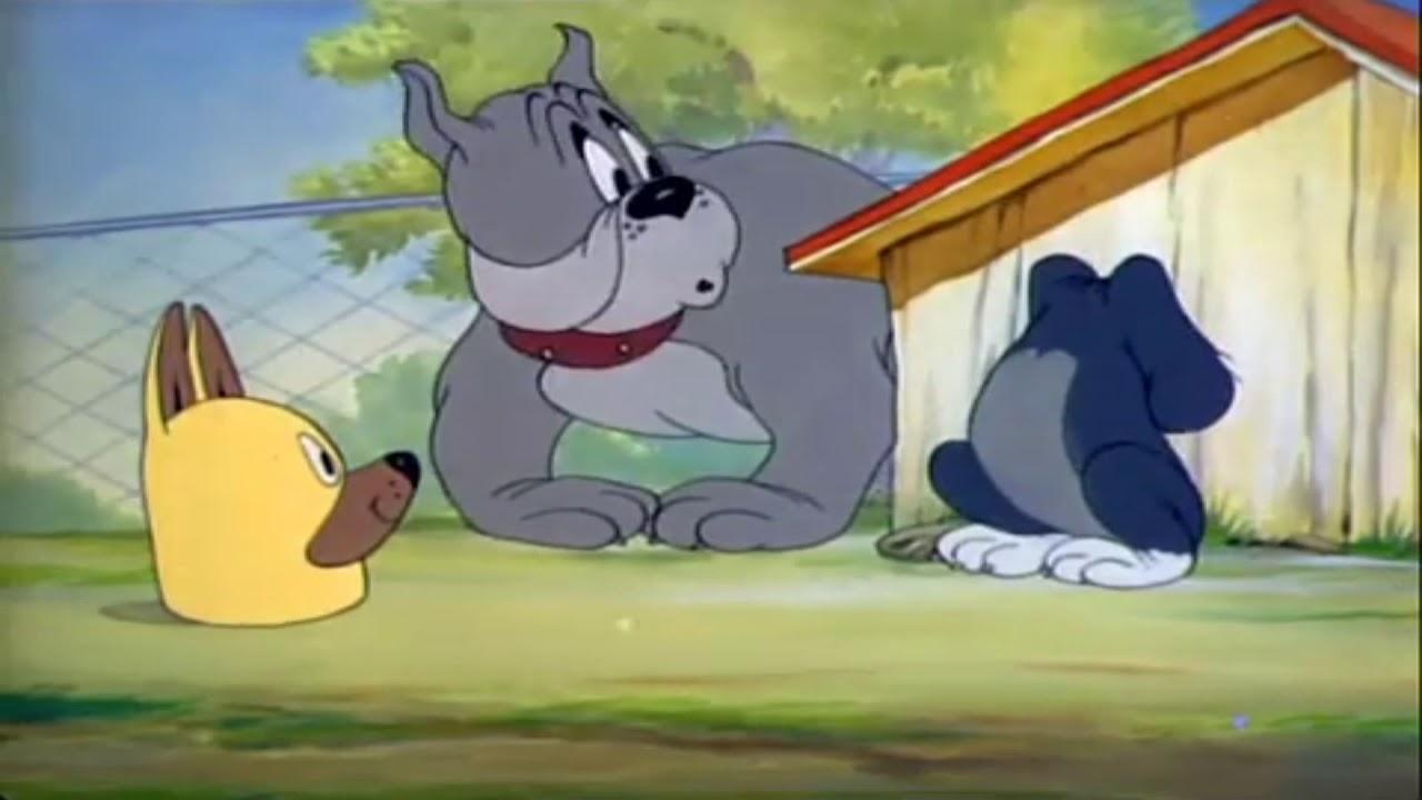 Puttin' on the Dog 1944 movie scene