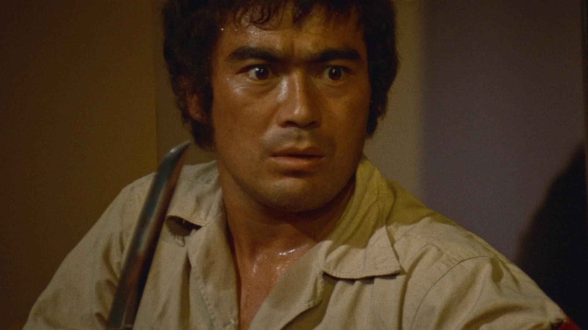 Karate Bullfighter 1975 movie scene