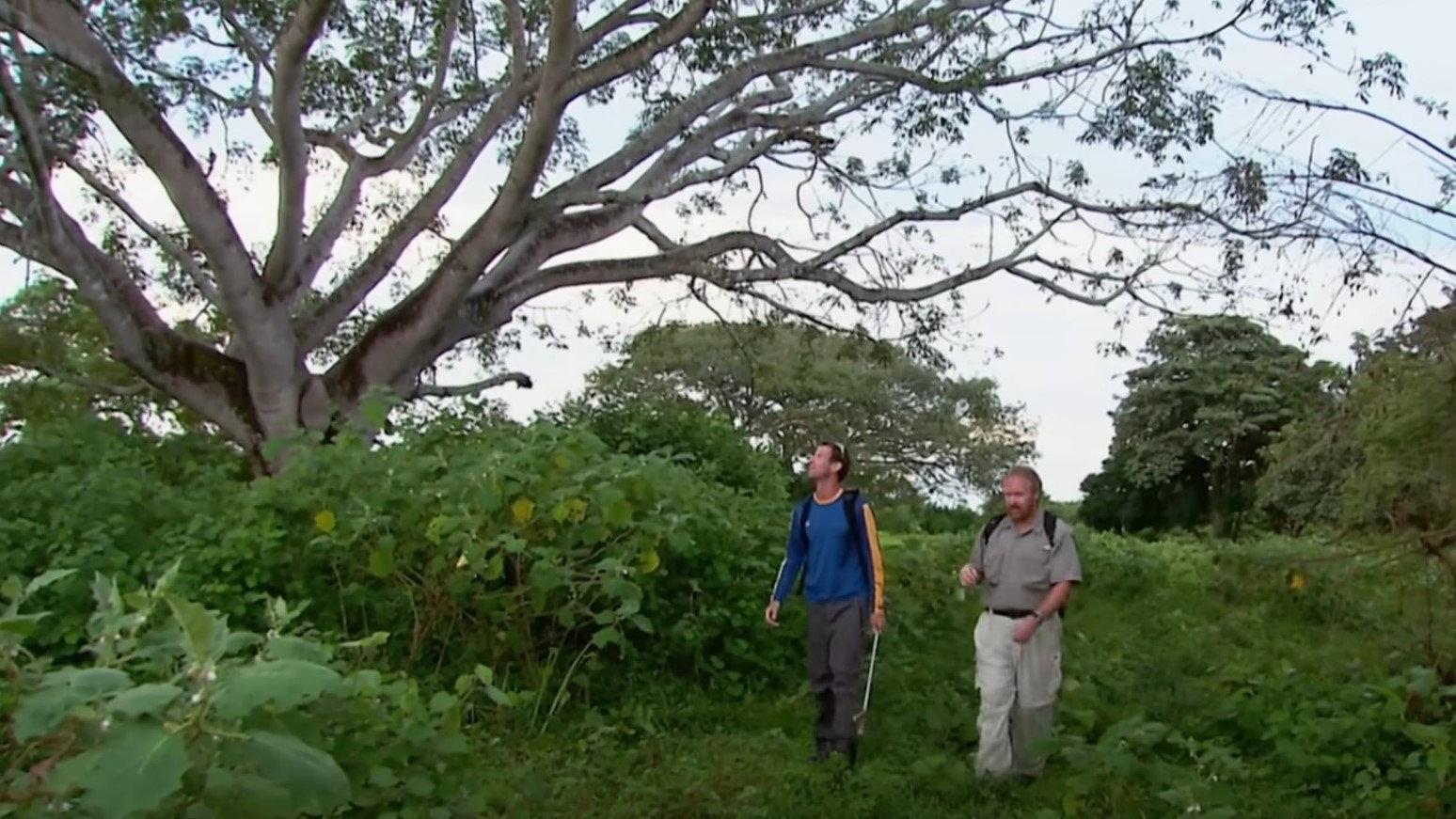 The Real Lost World 2006 movie scene