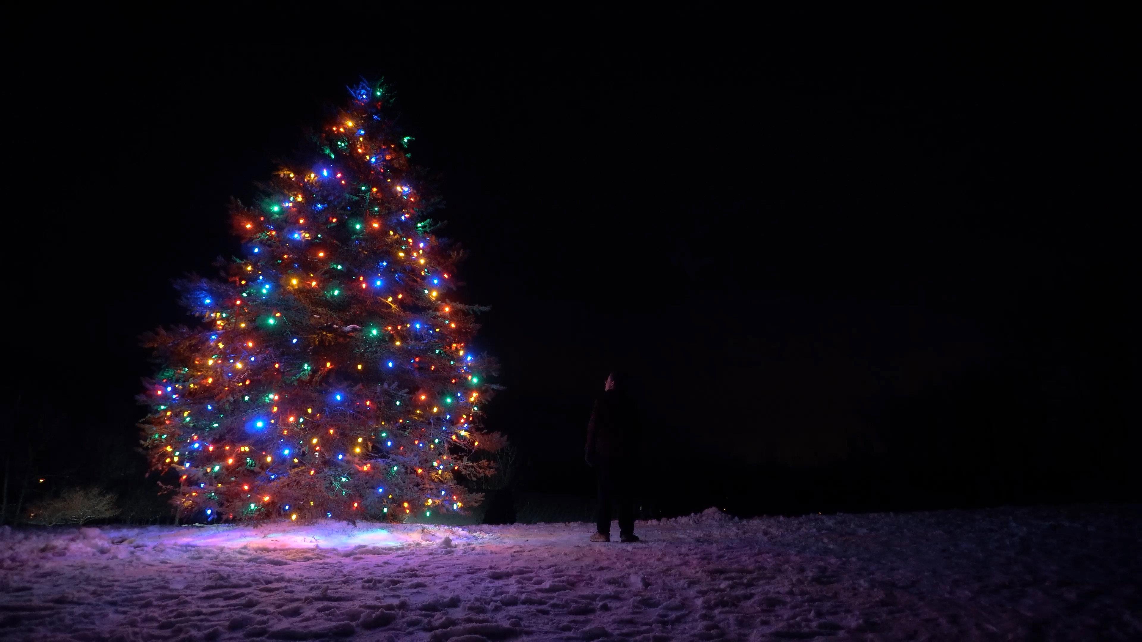 Secret Santa: A Christmas Adventure 2021 movie scene