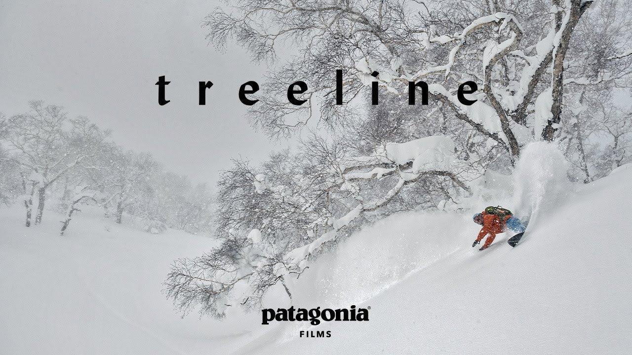 Treeline 2019 movie scene