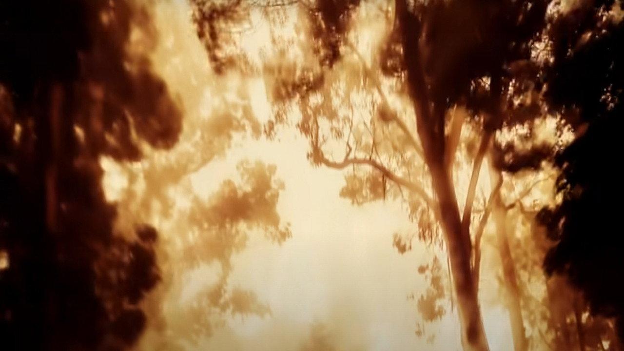 Snowglobe 2020 movie scene