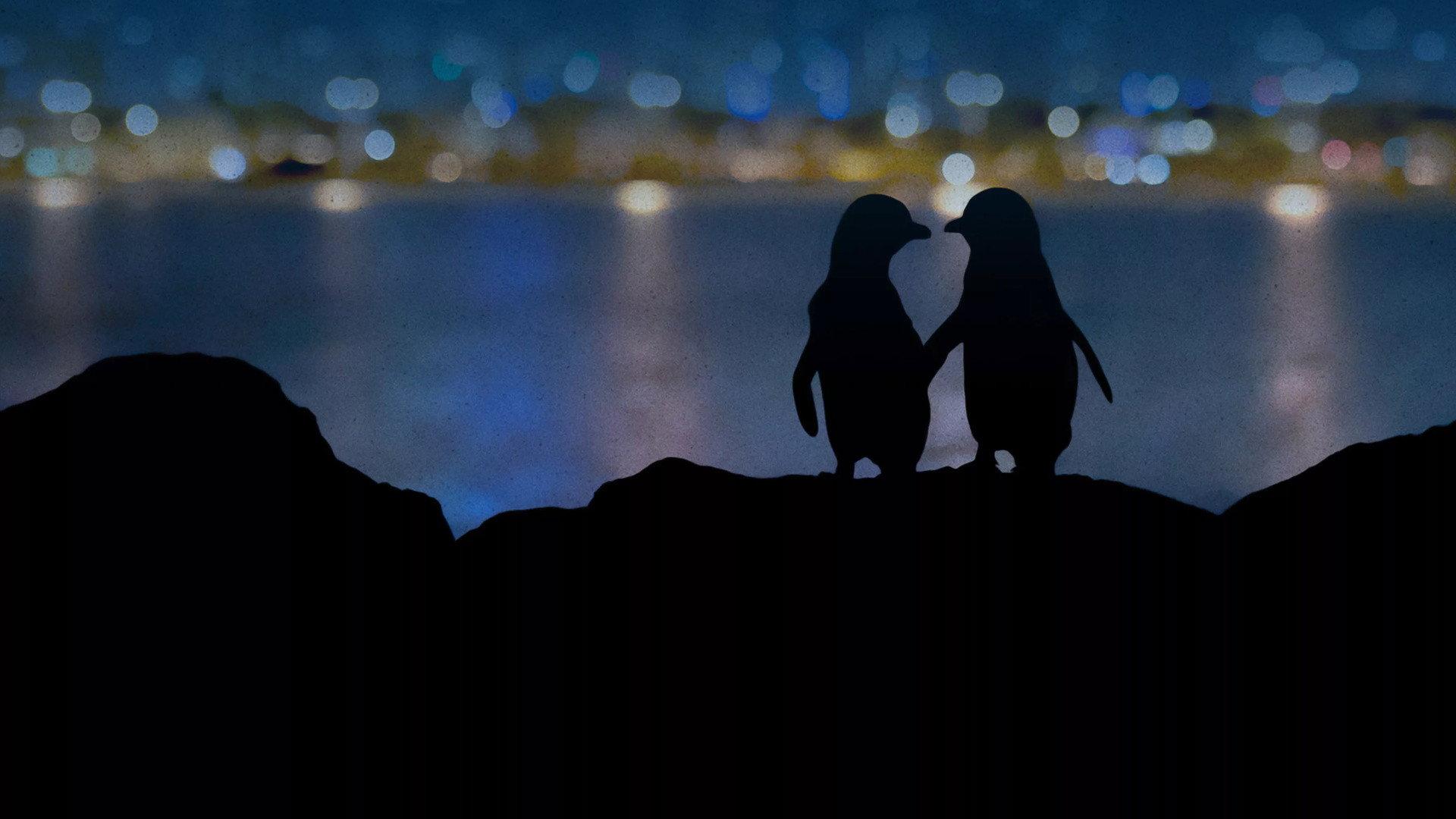 Meet the Penguins 2022 movie scene