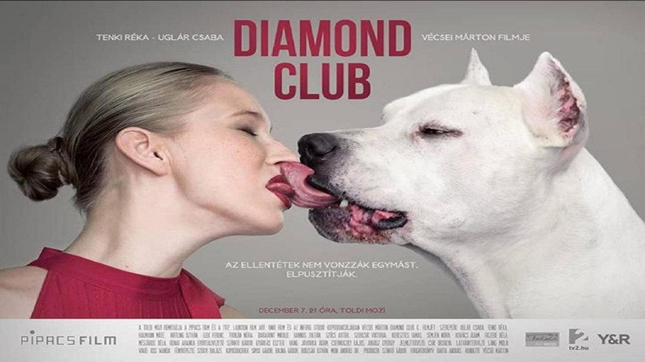 Diamond Club 2011 movie scene