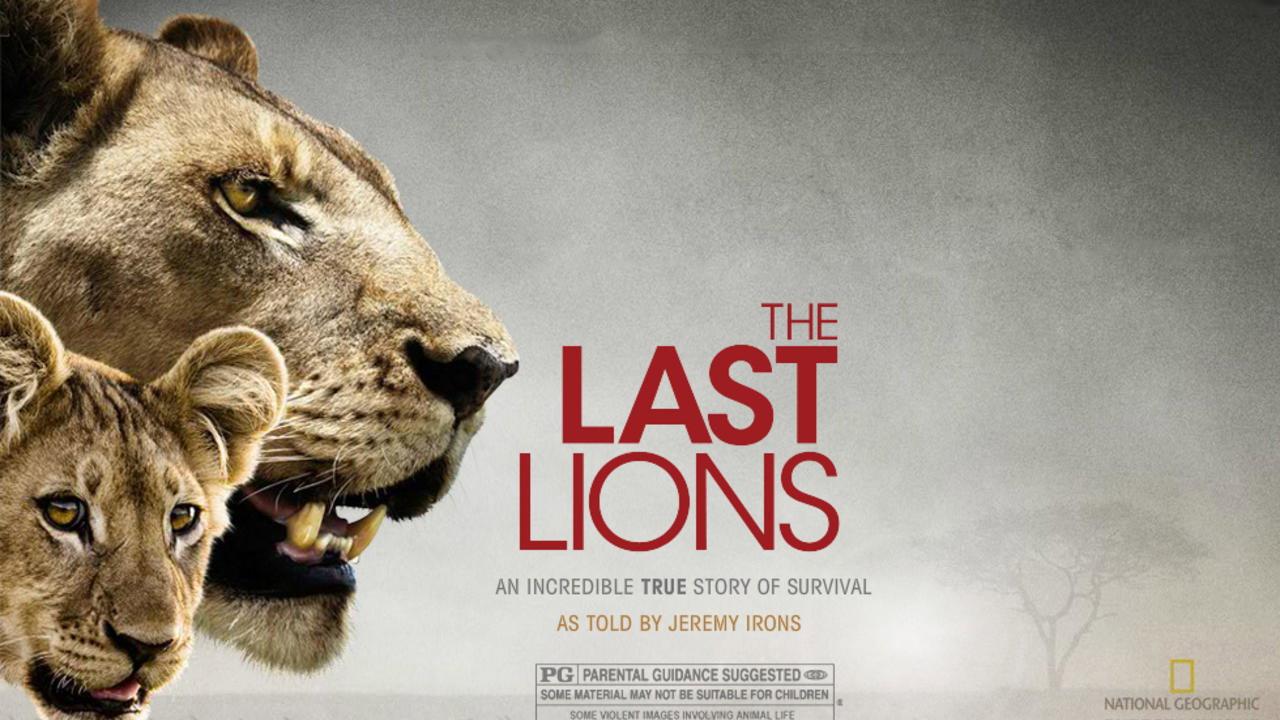 The Last Lions 2011 movie scene