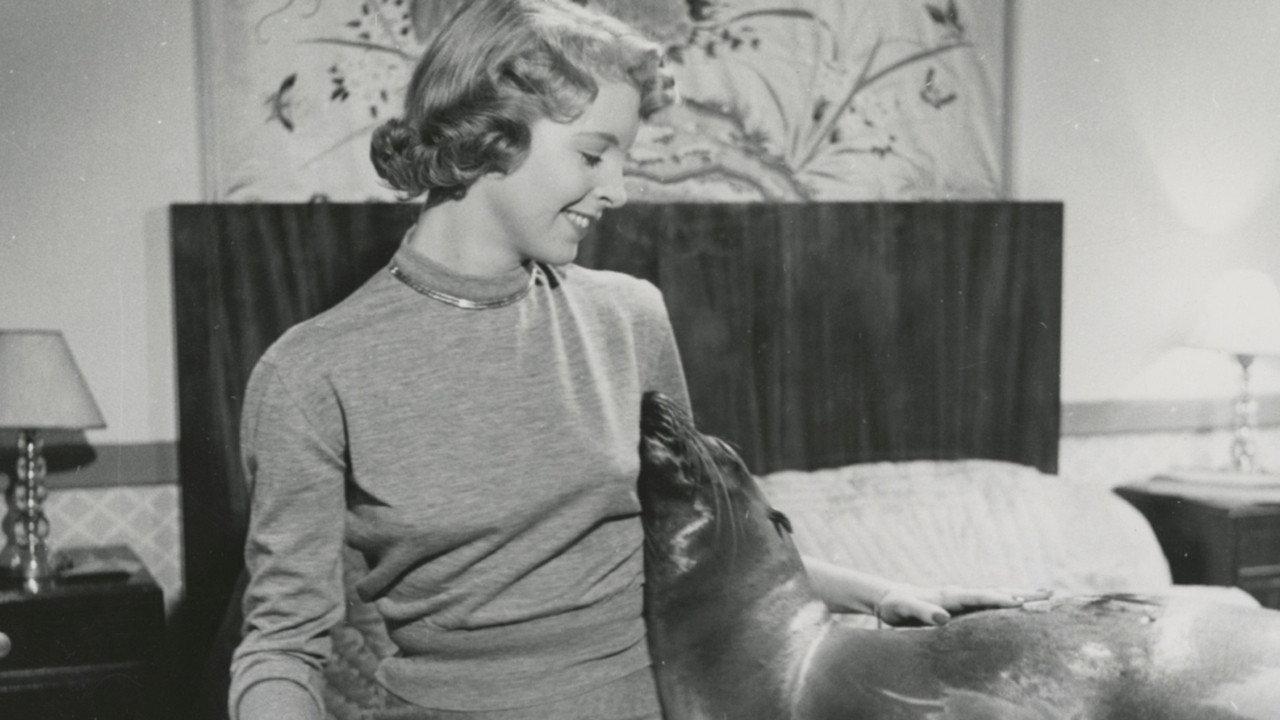 My Friend Oscar 1951 movie scene