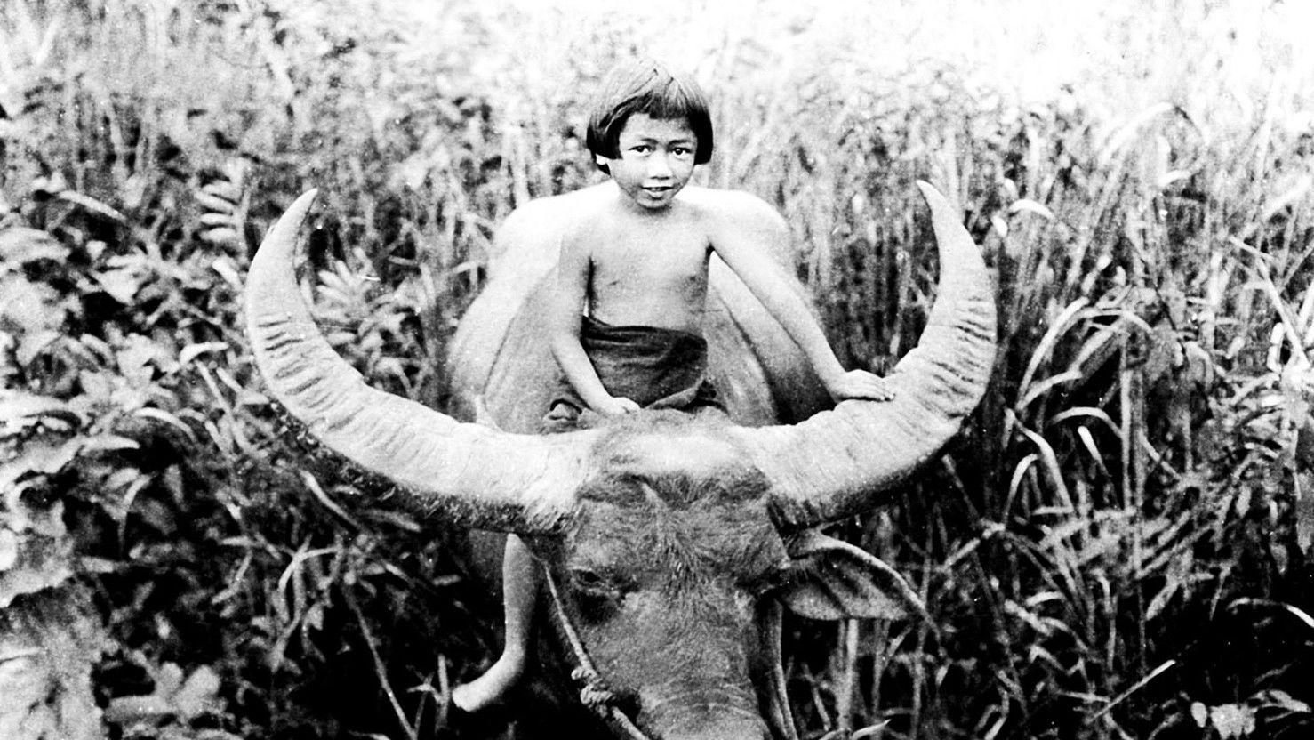 Chang: A Drama of the Wilderness 1927 movie scene