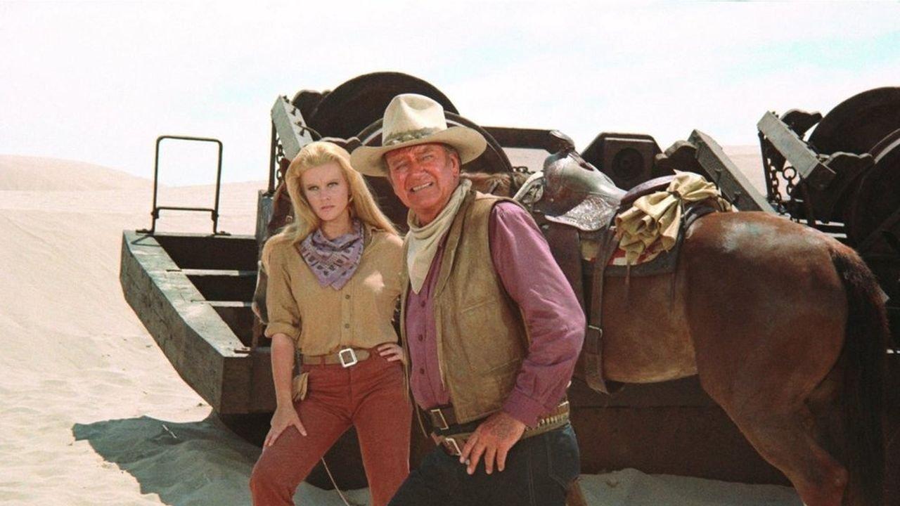 The Train Robbers 1973 movie scene