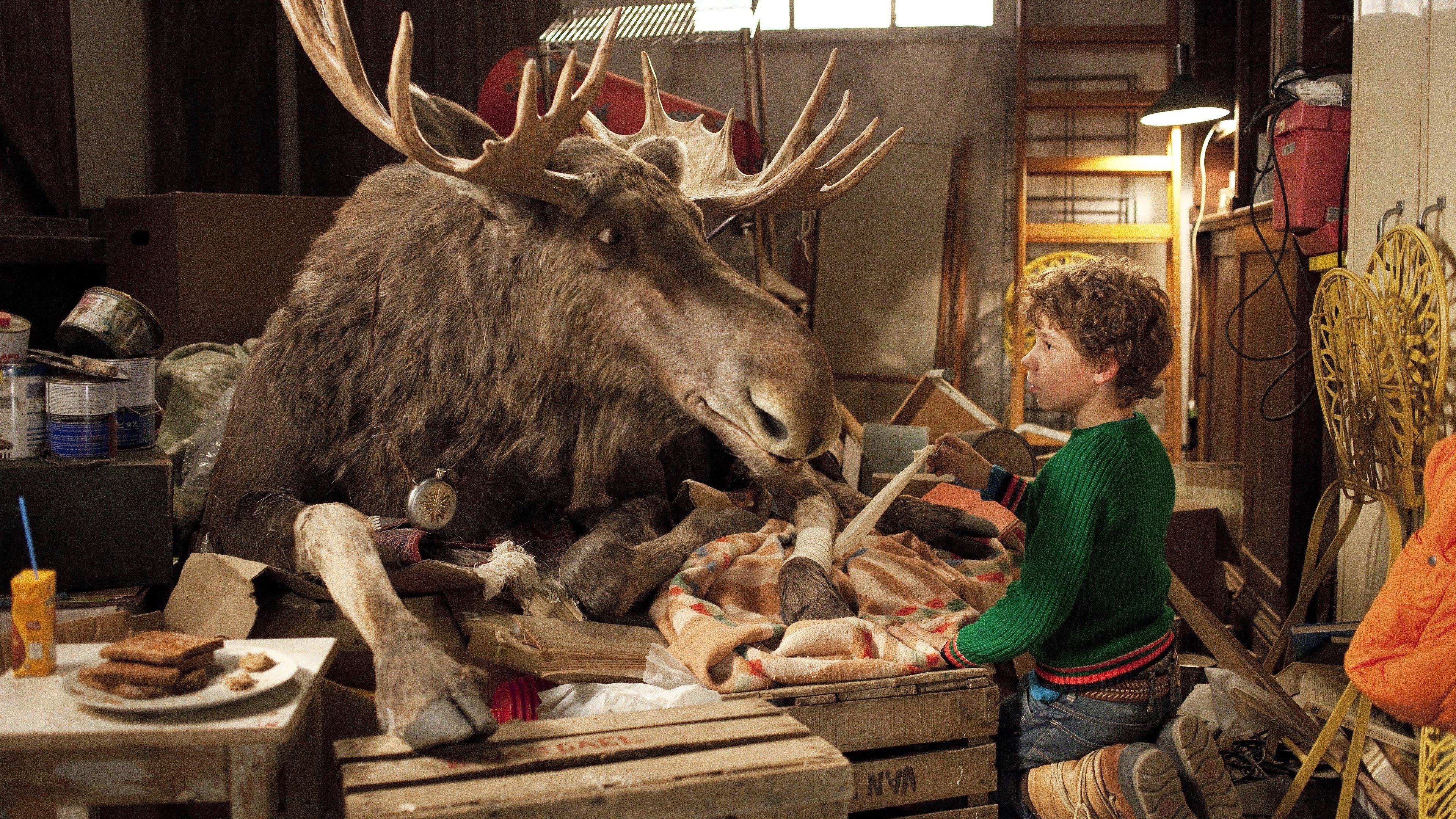 A Christmoose Story 2013 movie scene