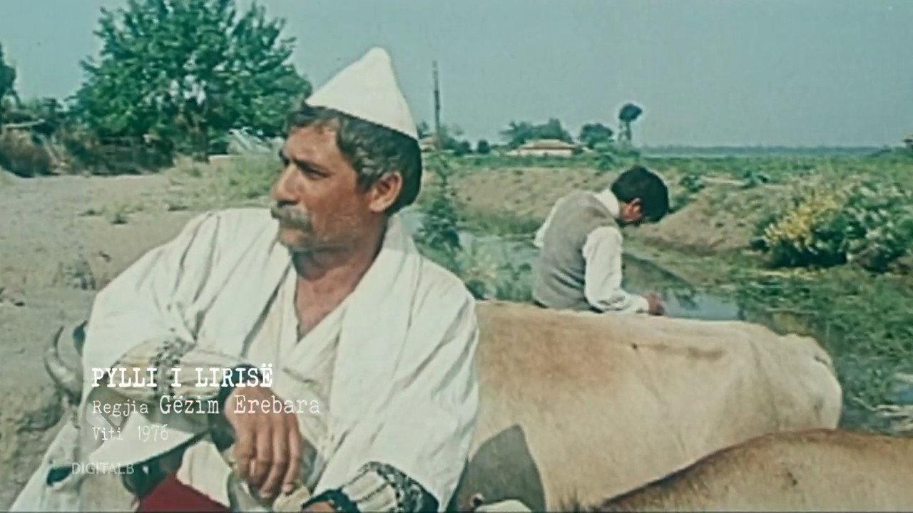 The Forest of Freedom 1976 movie scene