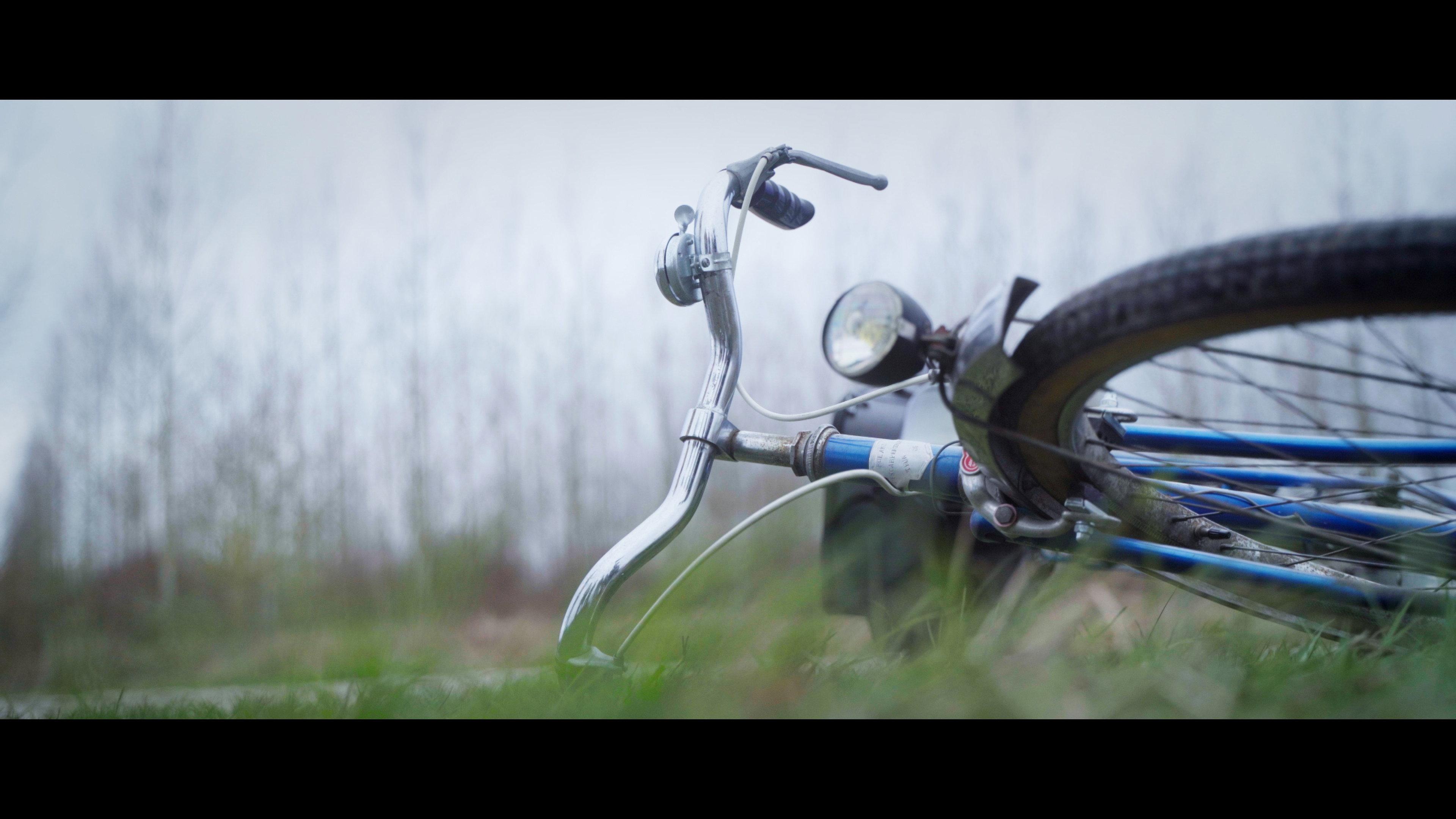 Au Fil des Mots 2024 movie scene