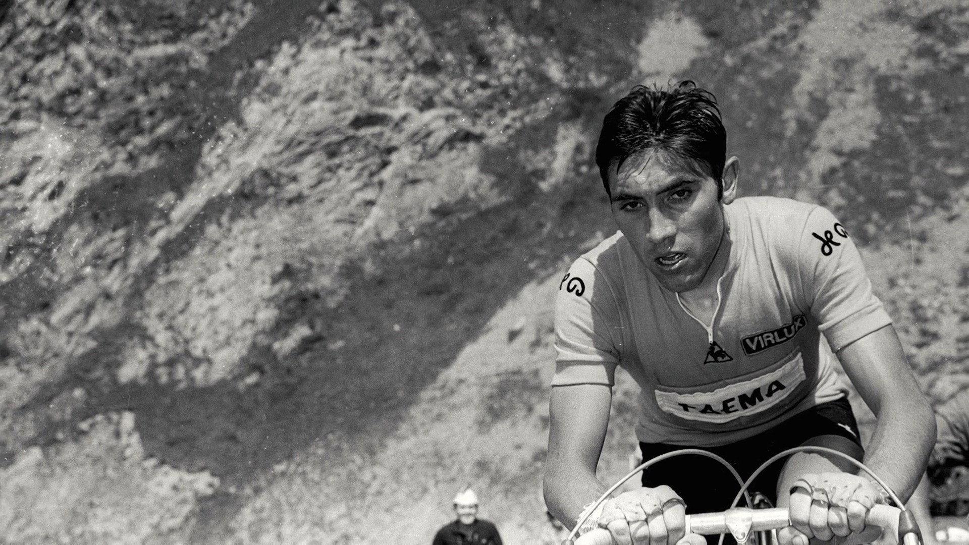 1969 - Following Merckx 2022 movie scene