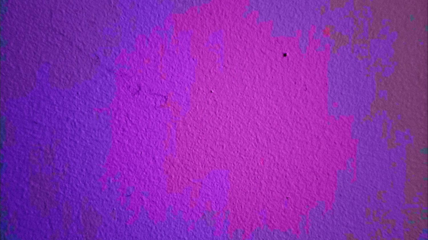 a tiny bug crawls across a wall 2024 movie scene