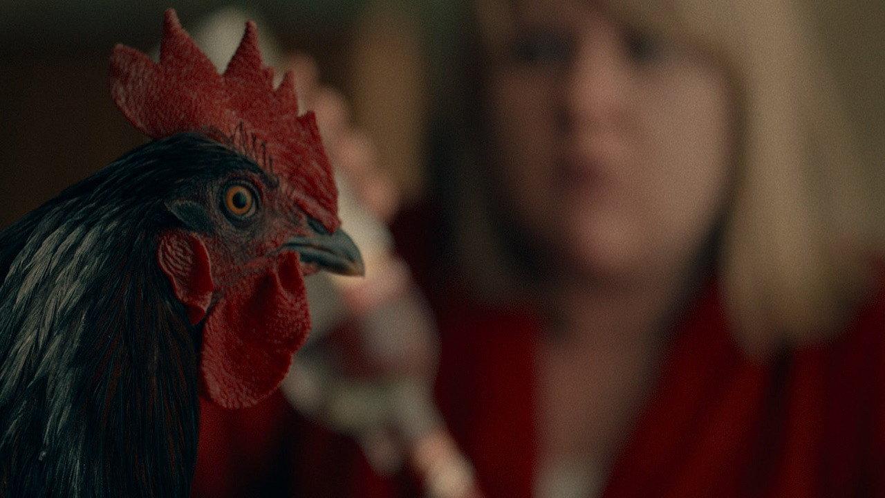 The Rooster 2015 movie scene