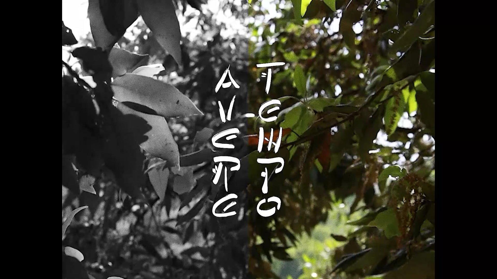 AVERE TEMPO 2023 movie scene