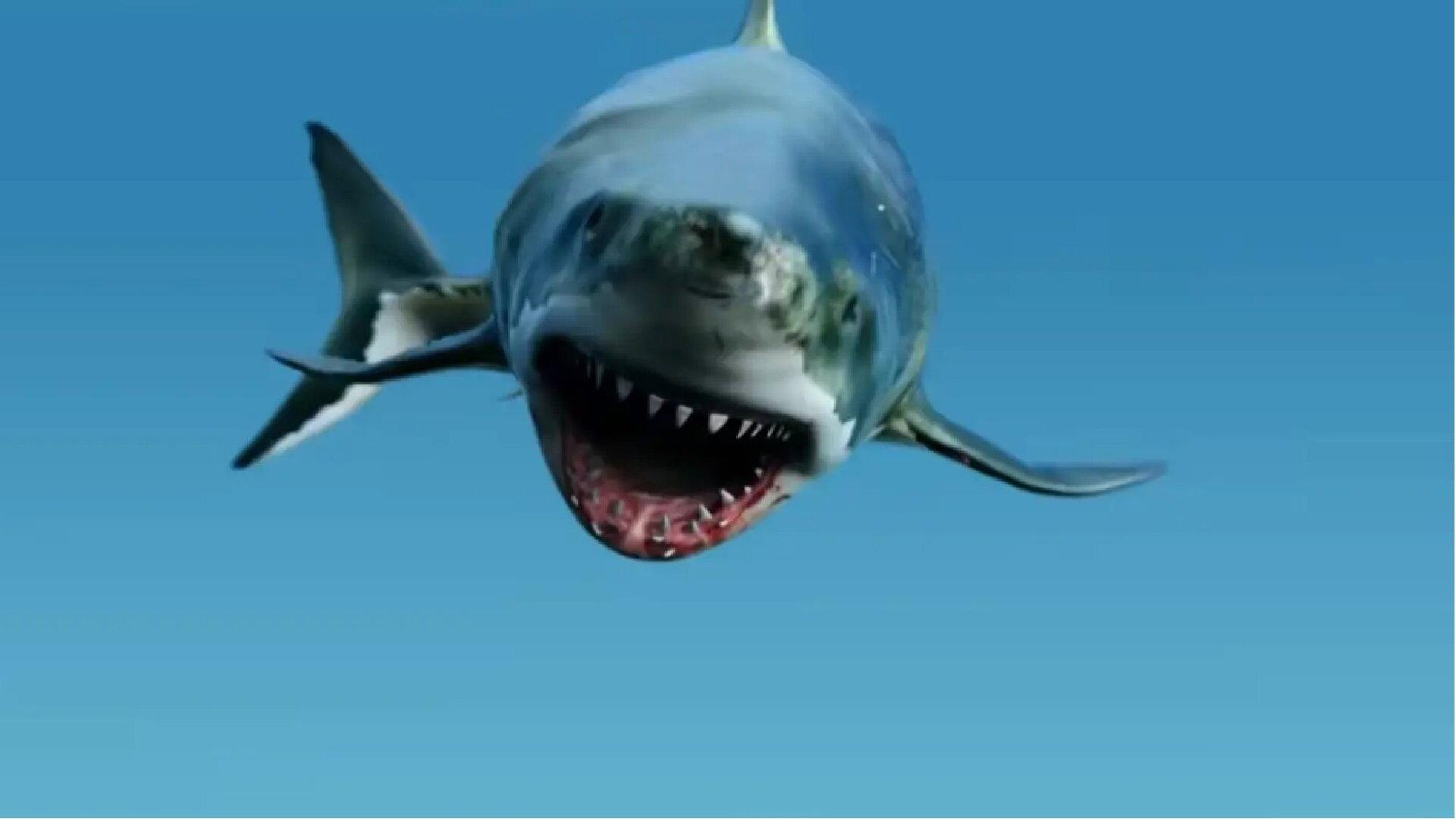 Megalodon Returns 2024 movie scene