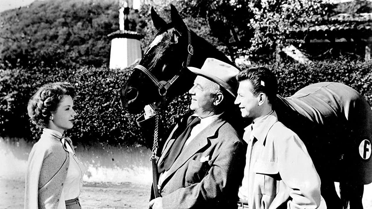 Francis Covers the Big Town 1953 movie scene