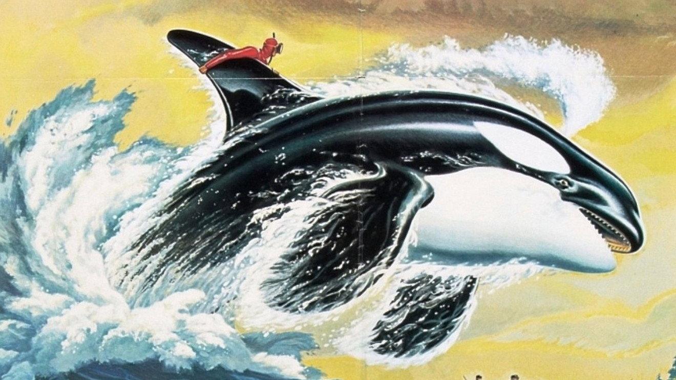 Namu, the Killer Whale 1966 movie scene