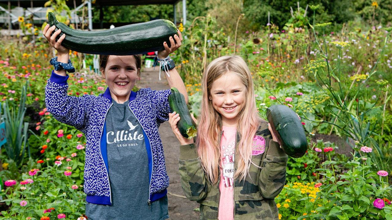 Planet Soil Junior 2023 movie scene