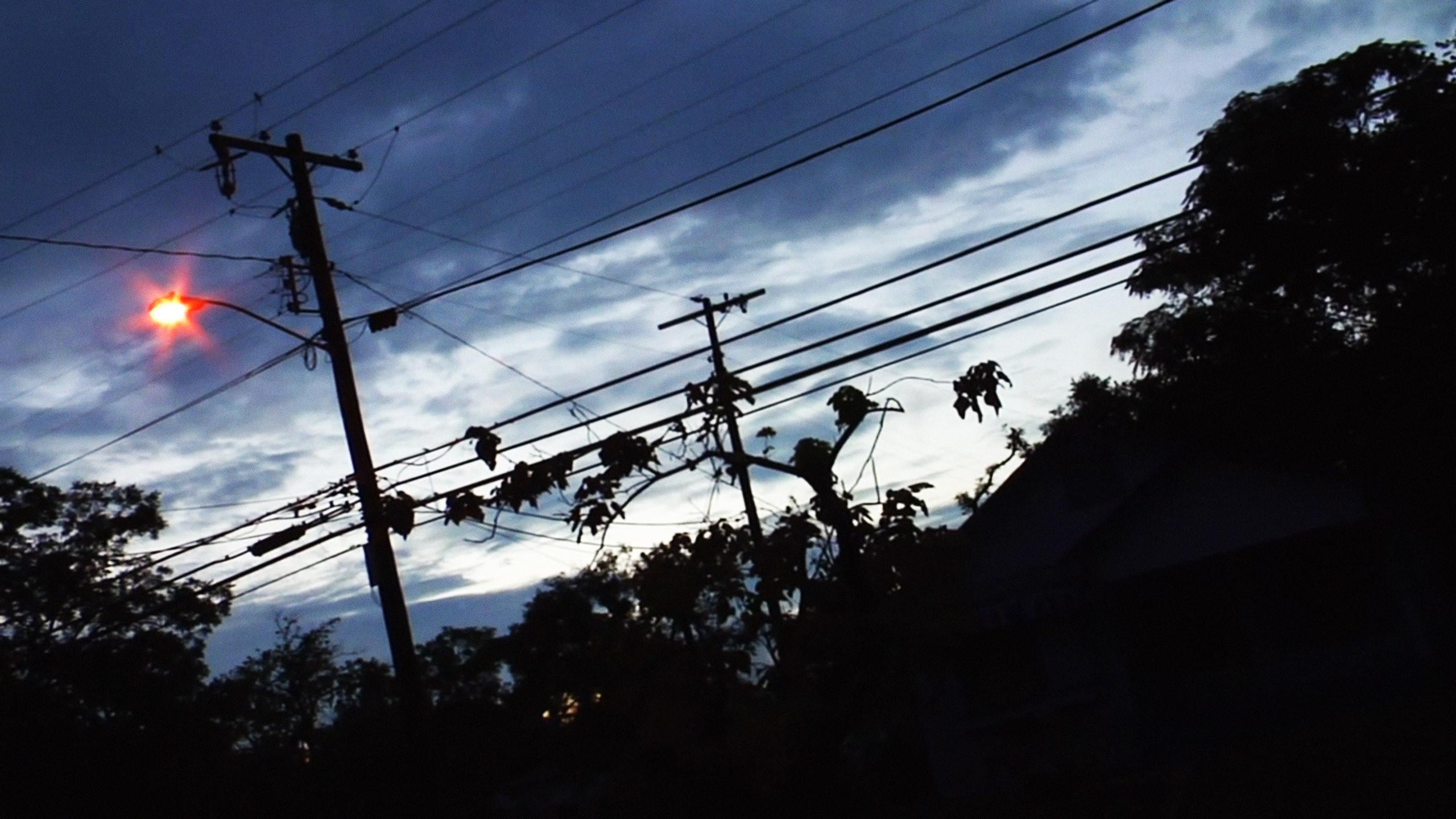 No Ward 2009 movie scene