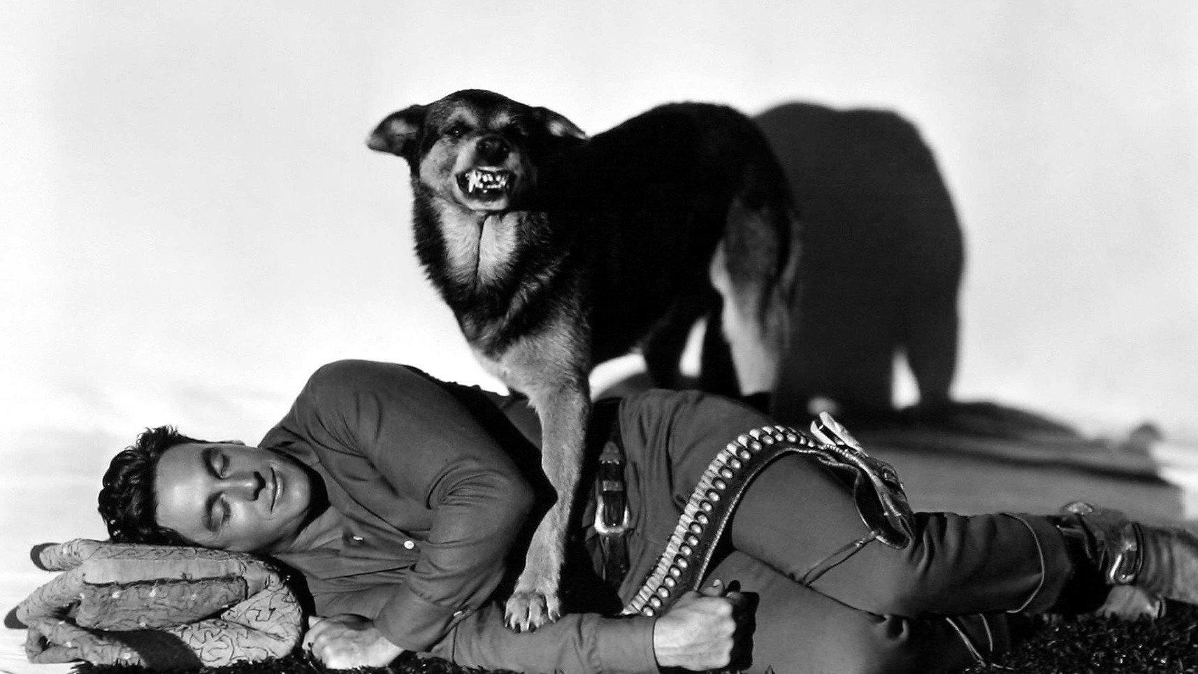 Fair Warning 1931 movie scene