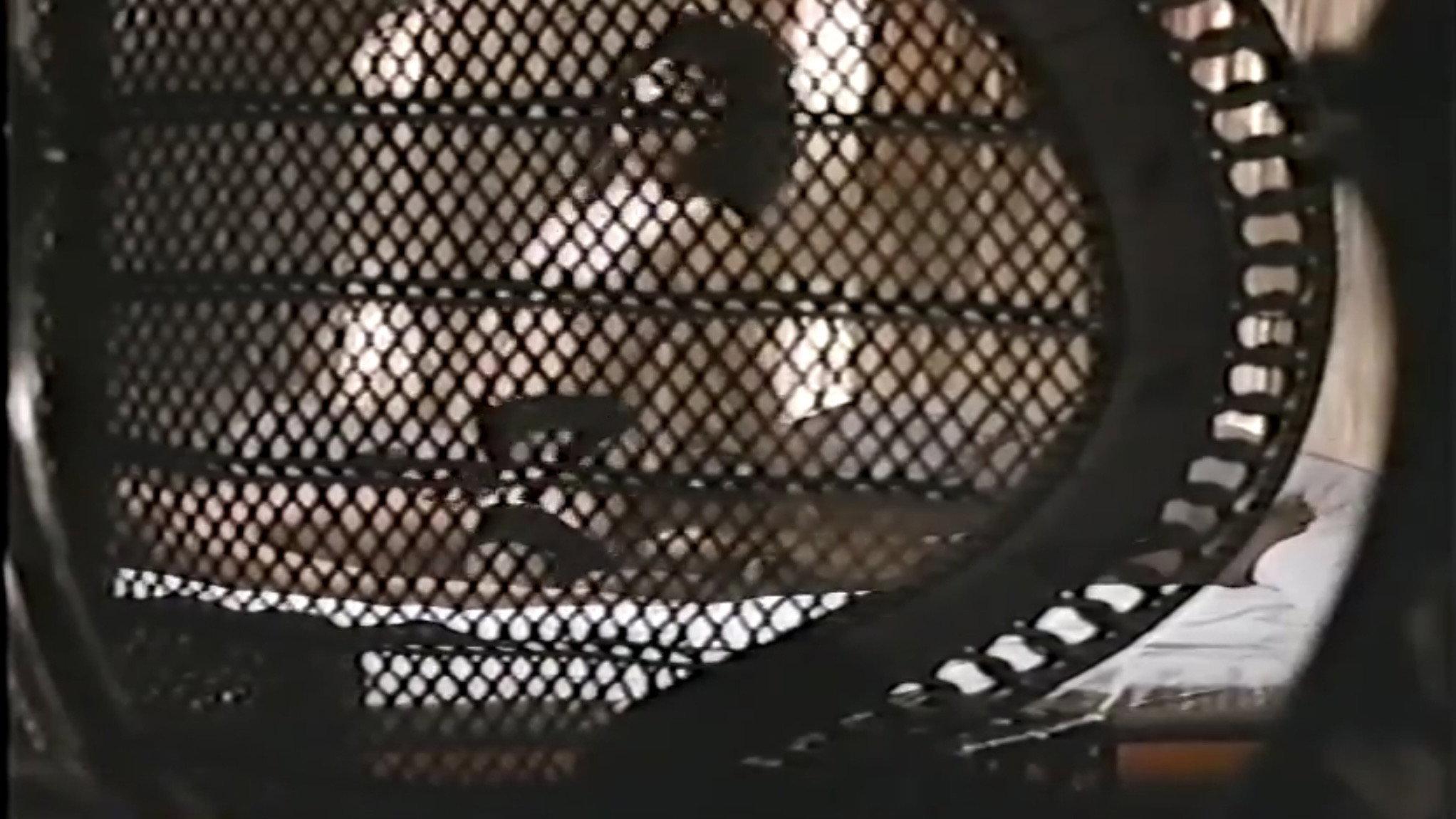 Groper Train: Start at the Back 1987 movie scene