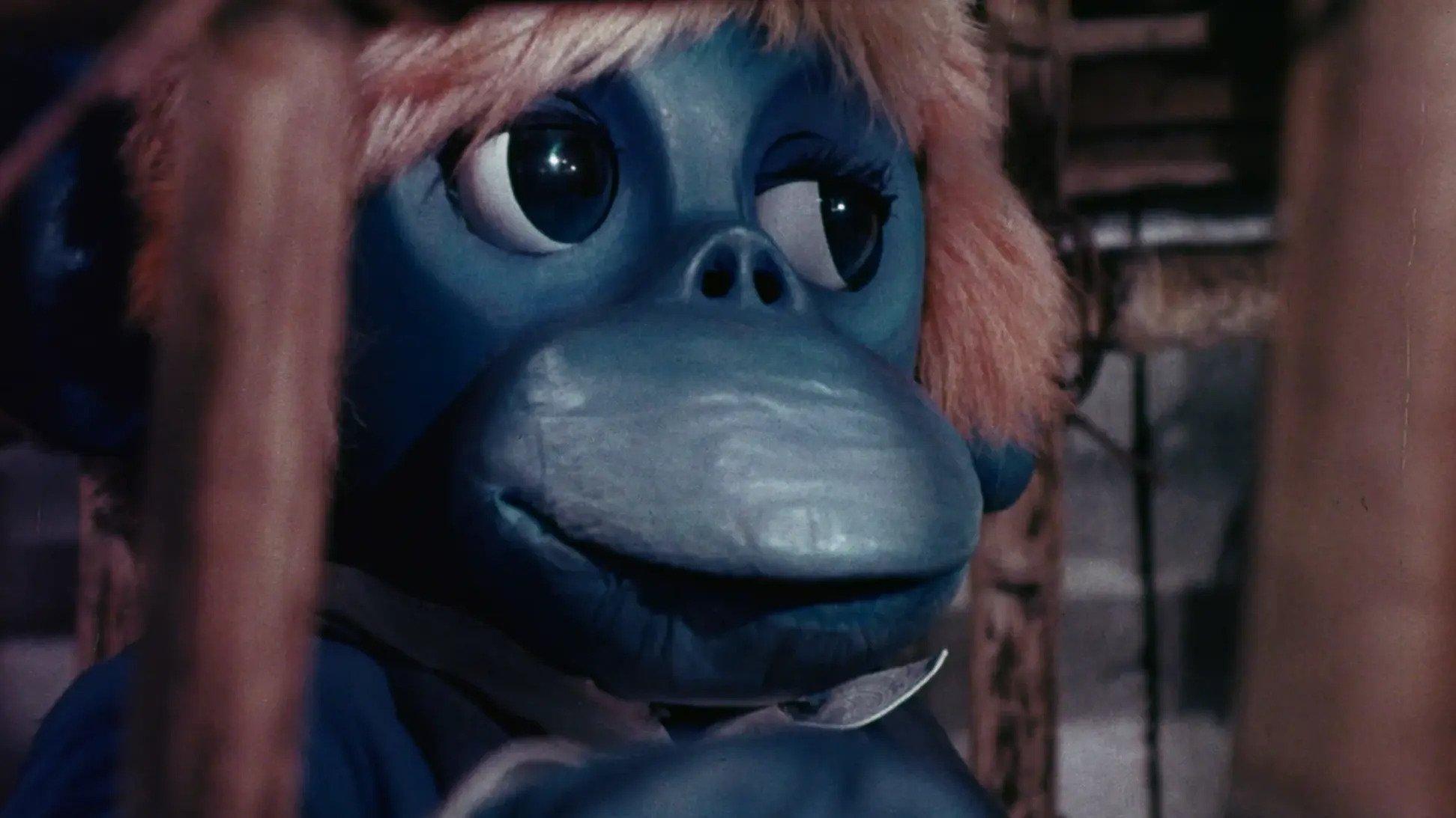The Rare Blue Apes of Cannibal Isle 1974 movie scene