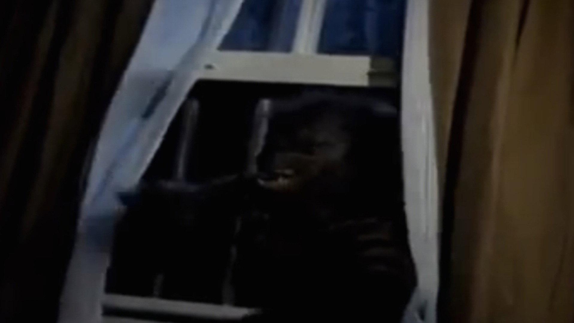 Goosebumps: Werewolf Skin 1997 movie scene