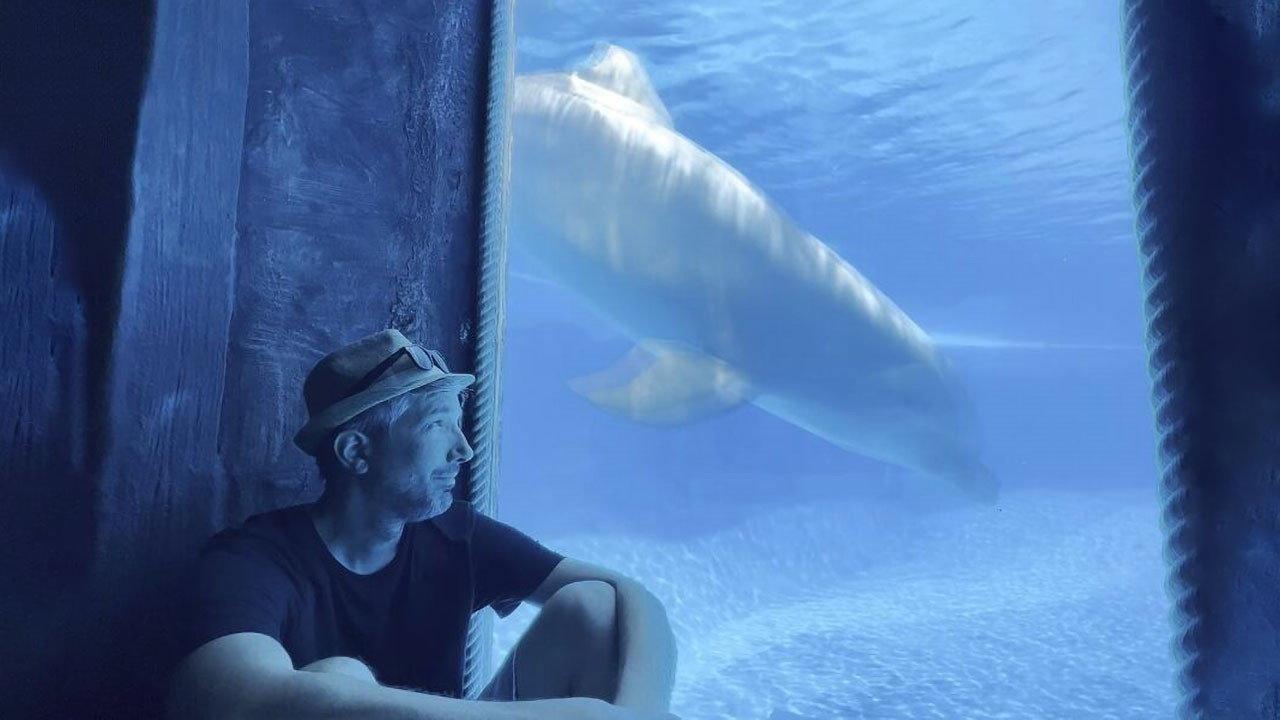 Delphinariums game over ? 2022 movie scene