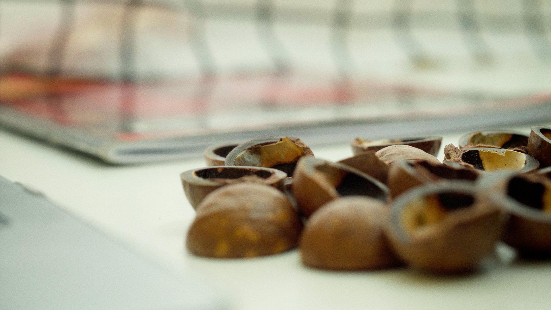 Macadamia 2025 movie scene