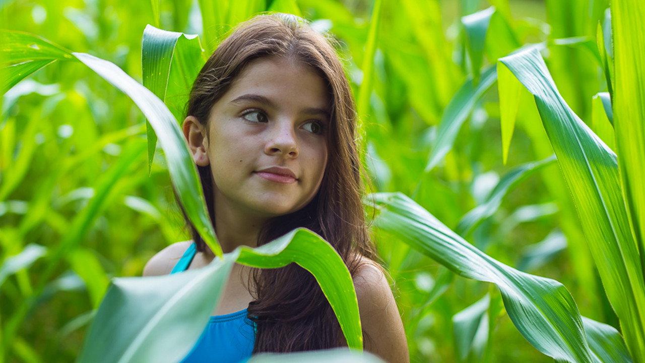 The Awakening of the Ants: Childhood 2016 movie scene