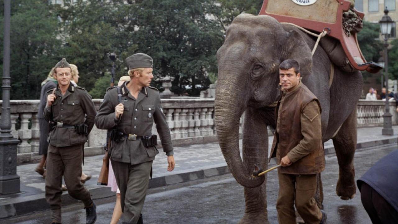 Hannibal Brooks 1969 movie scene