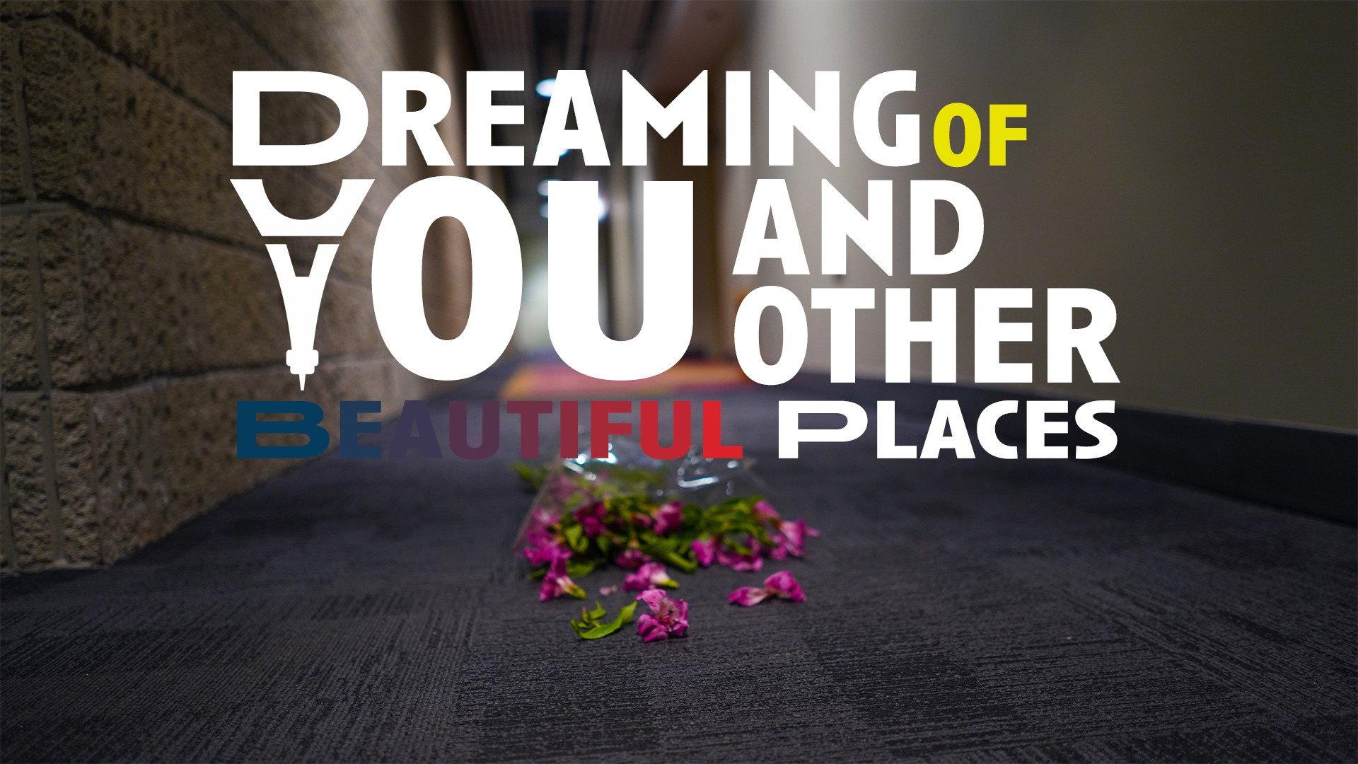 Dreaming of You and Other Beautiful Places  movie scene