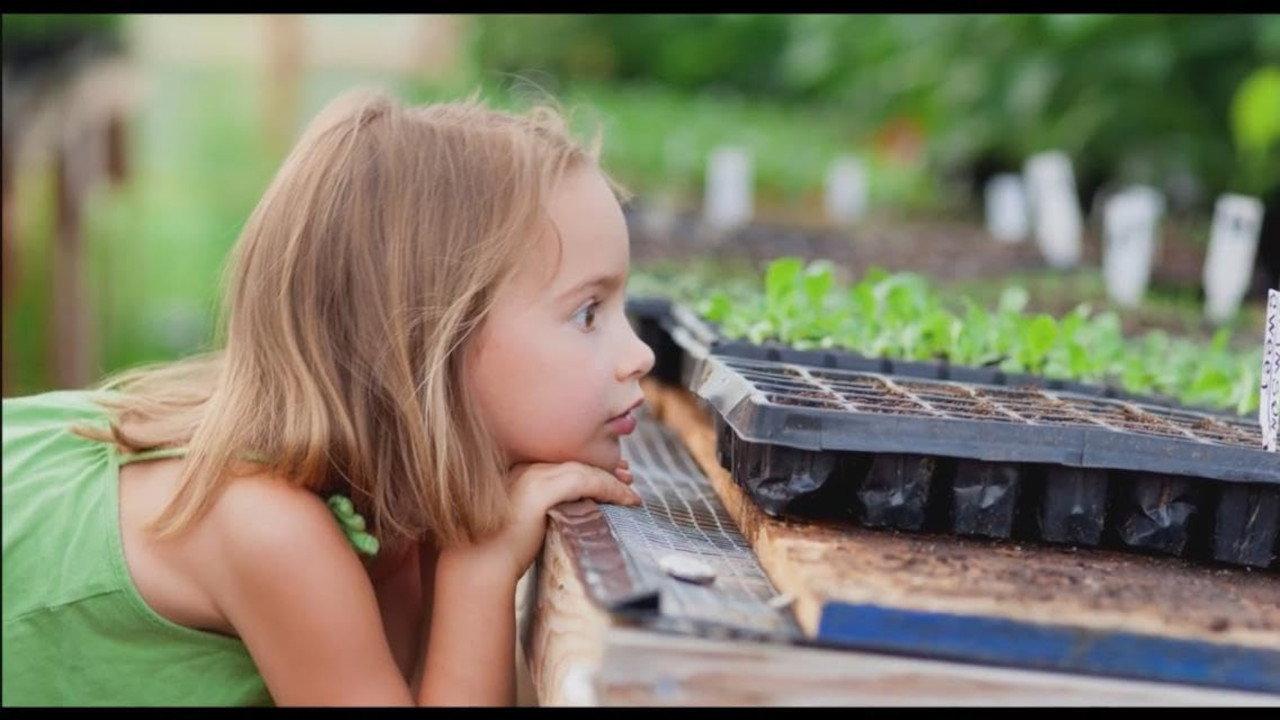 Watermelon Magic 2014 movie scene