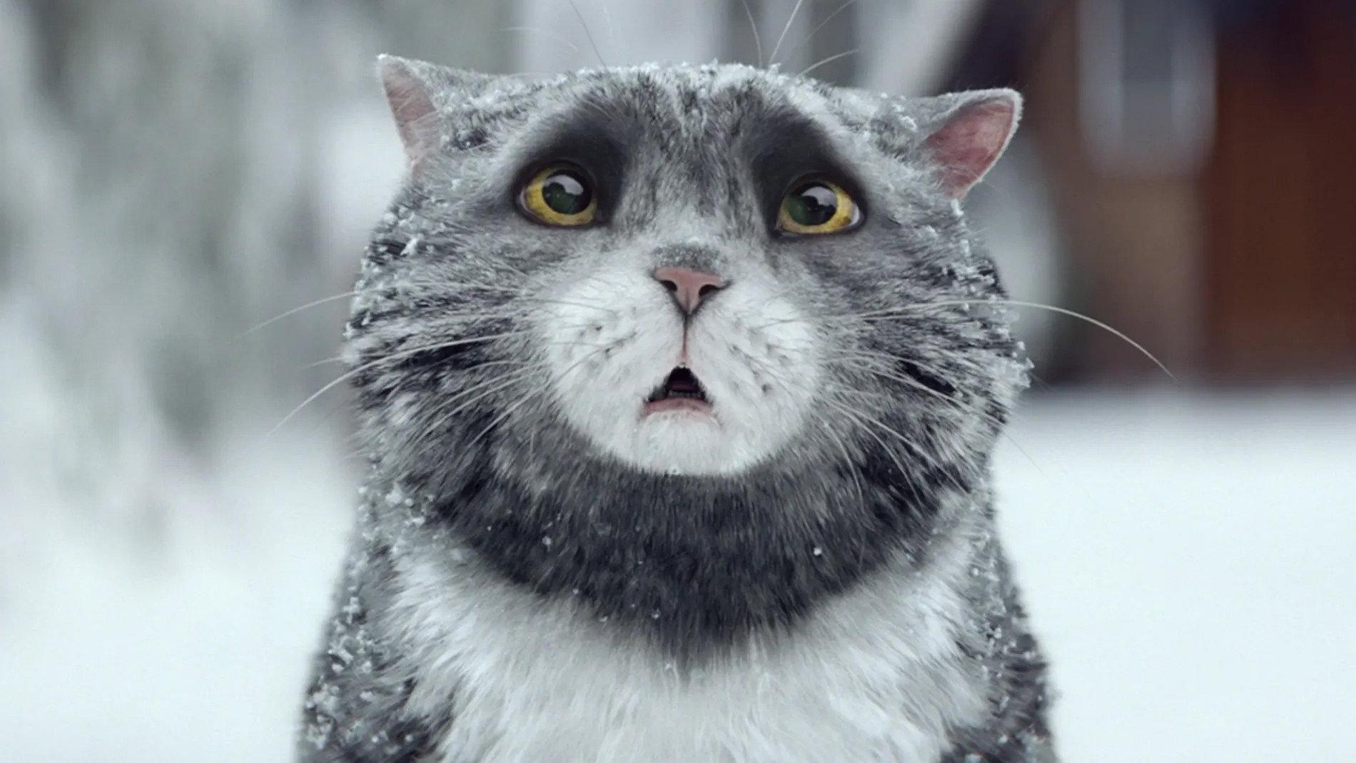 Sainsbury's: Mog's Christmas Calamity 2015 movie scene