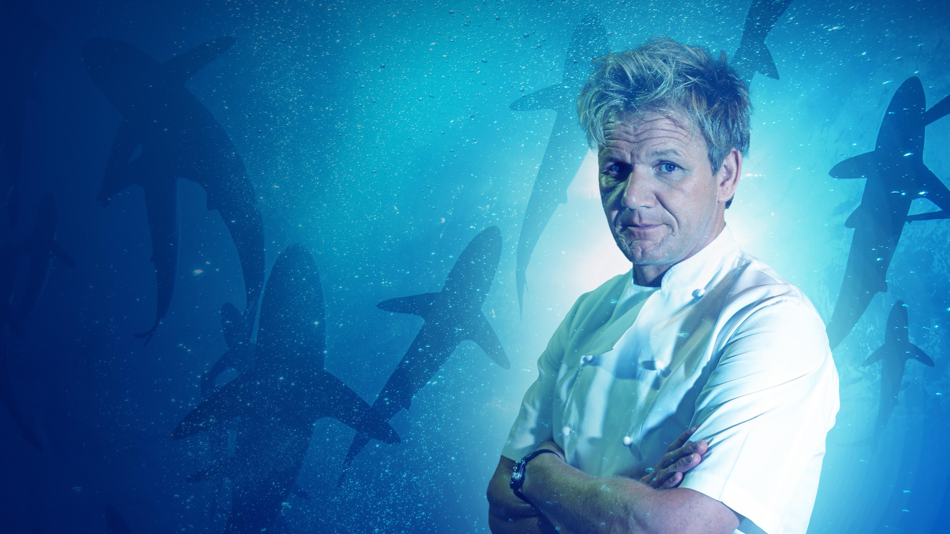 Gordon Ramsay: Shark Bait 2011 movie scene
