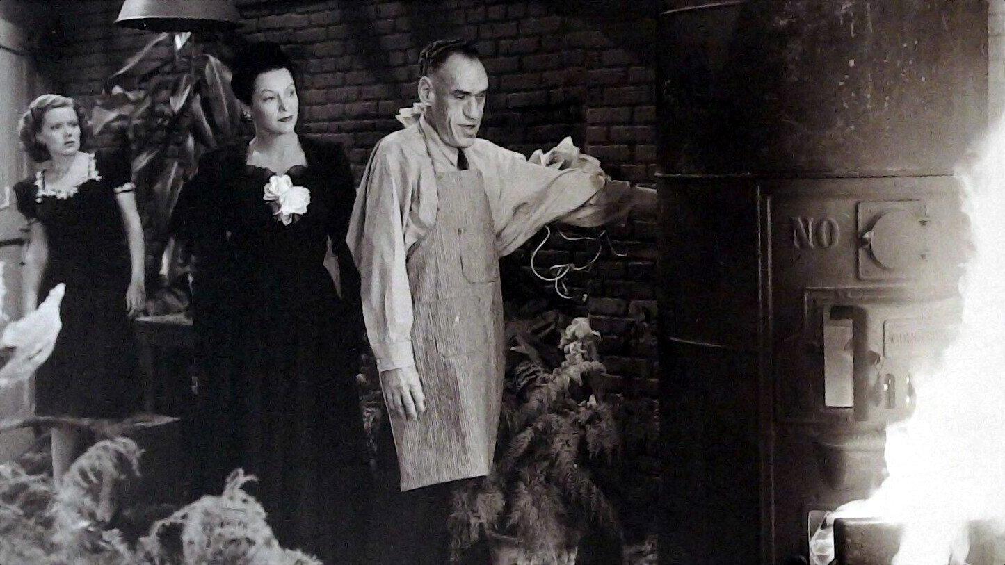 The Spider Woman Strikes Back 1946 movie scene