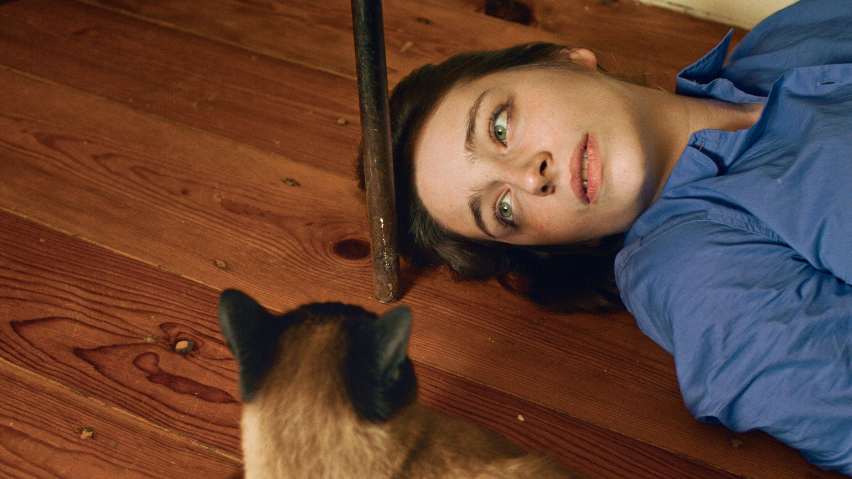 Dois e Um Gato 2026 movie scene