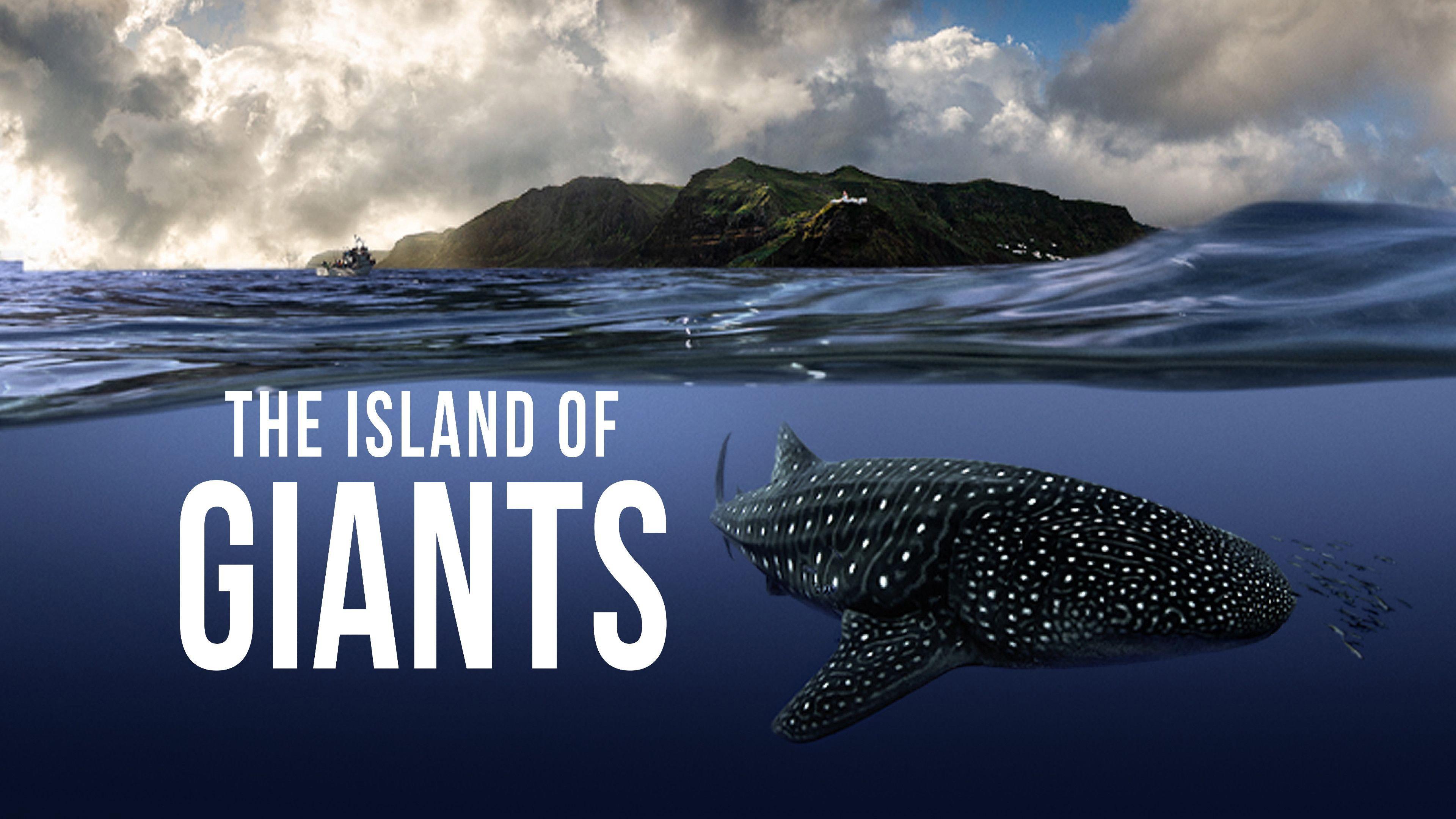 The Island of Giants 2026 movie scene