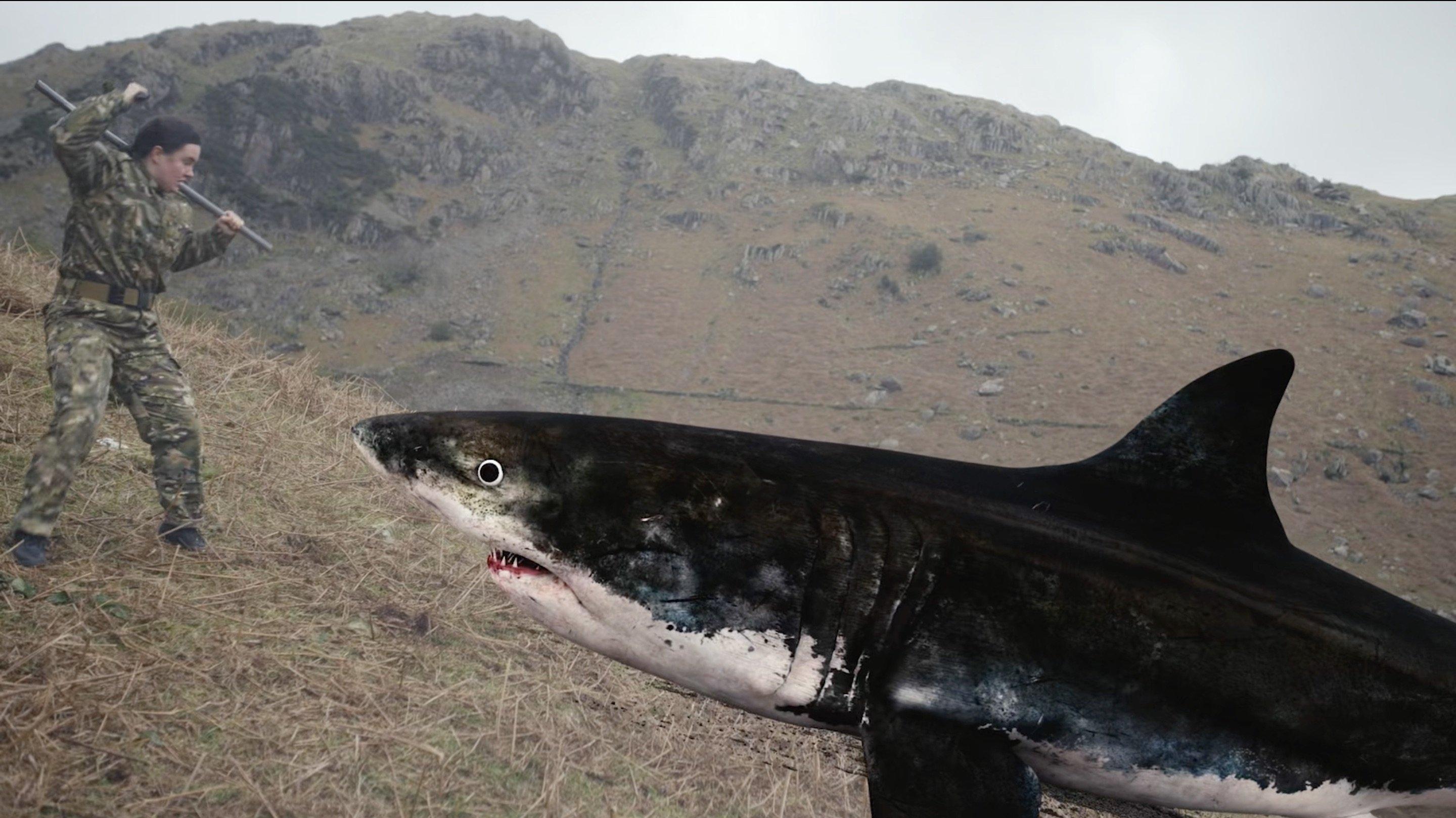 Mountain Shark 2024 movie scene