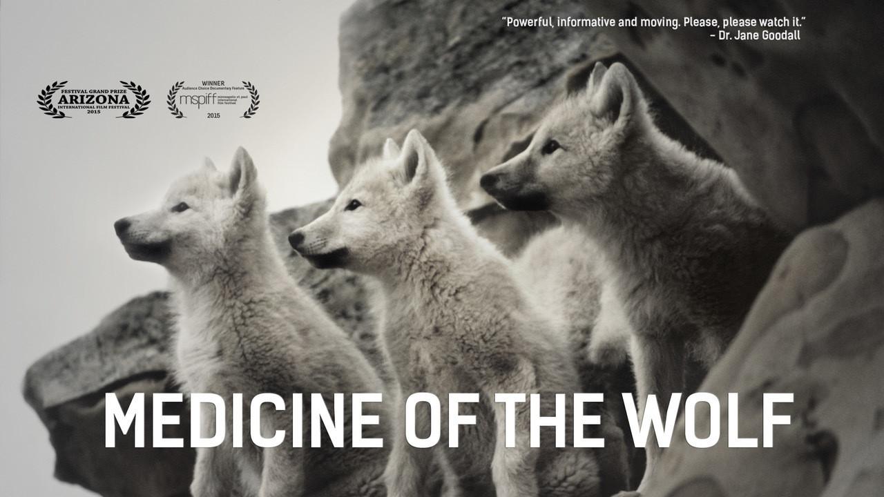 Medicine of the Wolf 2015 movie scene