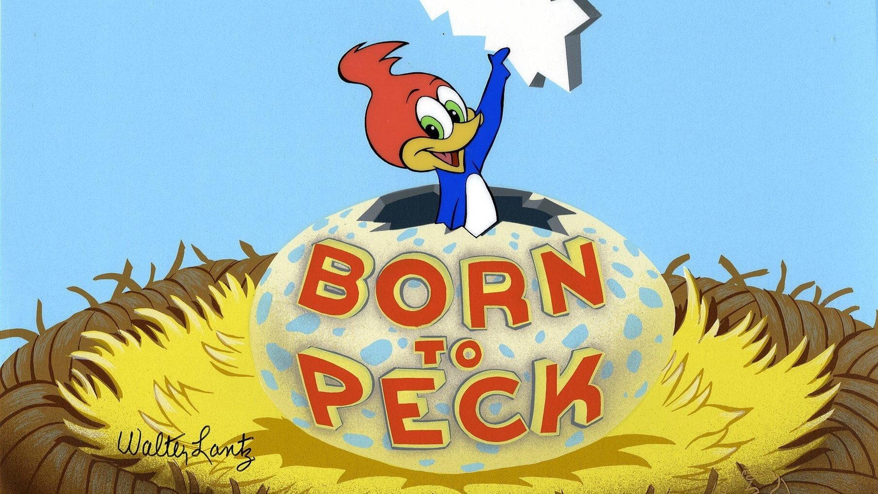 Born to Peck 1952 movie scene
