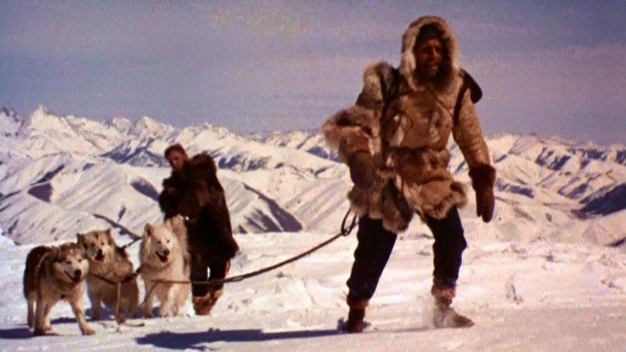 The Wild North 1952 movie scene
