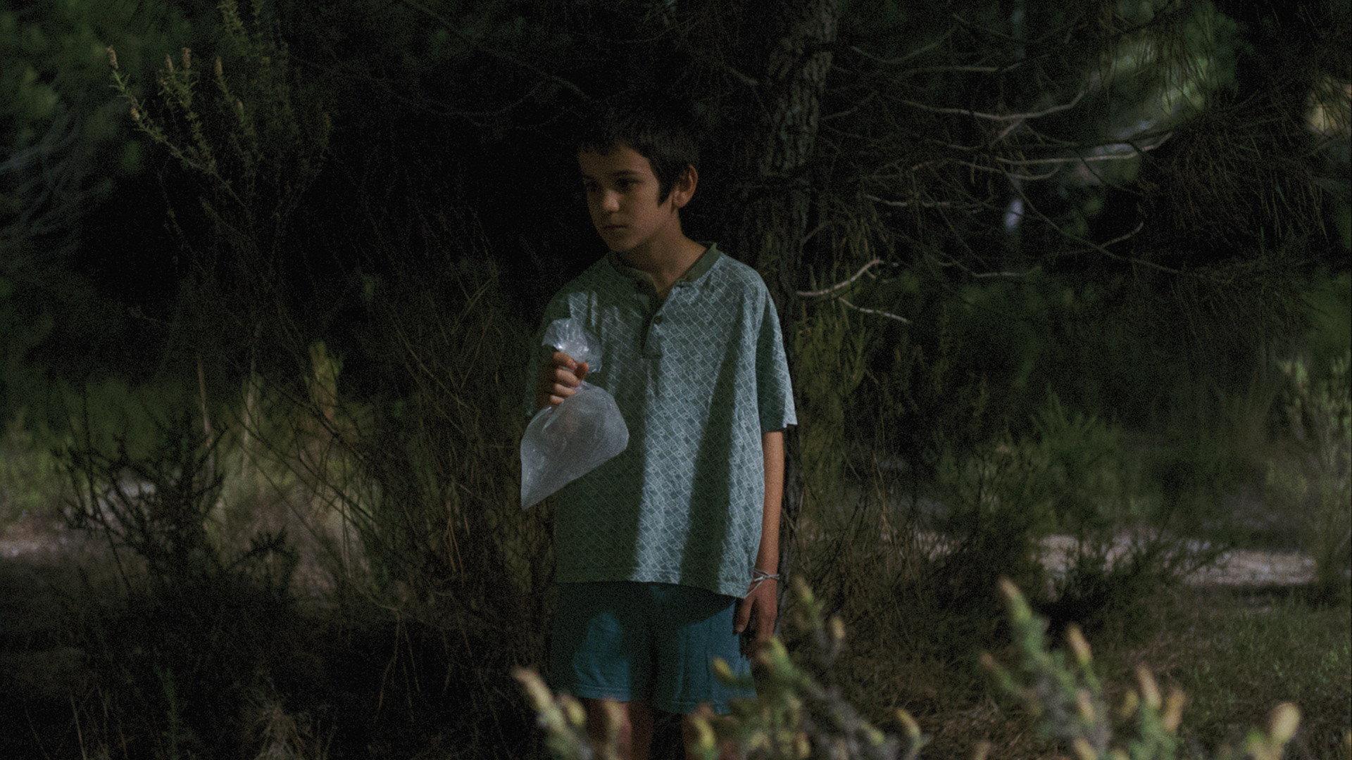 Wild Haggis 2013 movie scene